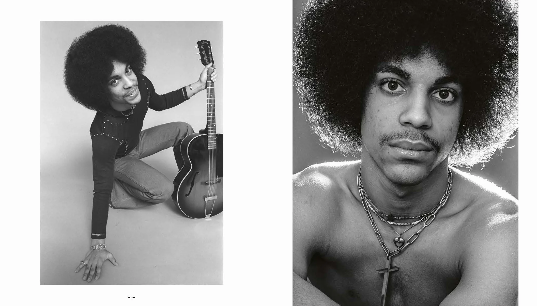 Prince: Icon /anglais: The Definitive Photographic Collection