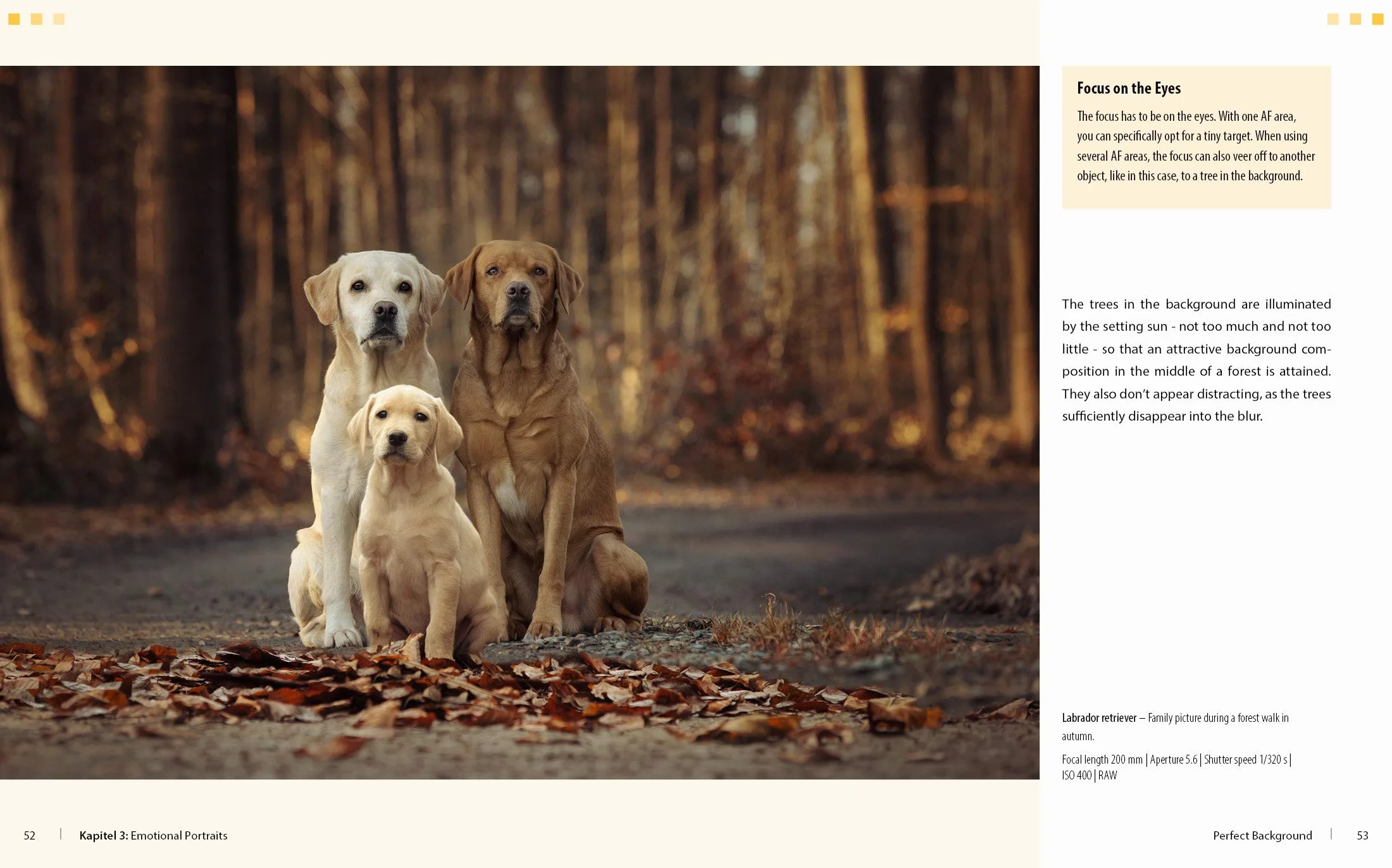 Dog Photography - Shooting with Bow "Wow" Effect