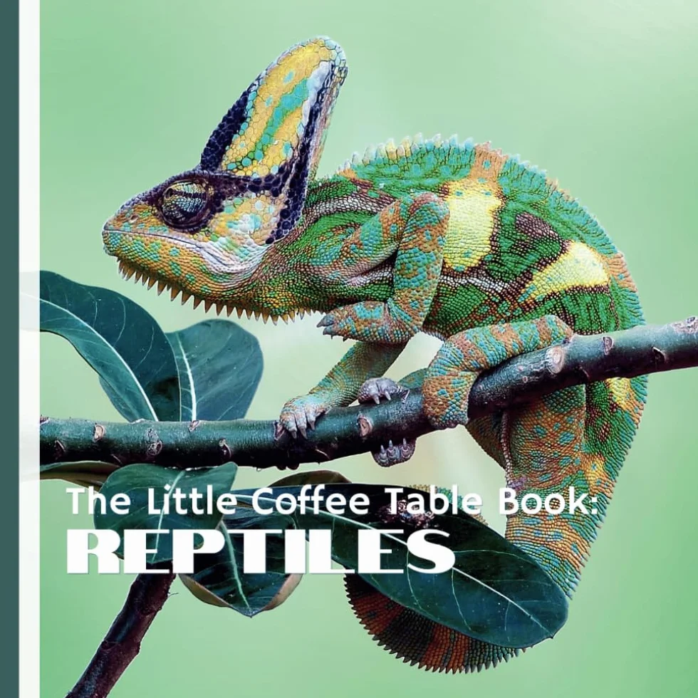 The Little Coffee Table Book: Reptiles: Designed to be a perfect addition to your coffee table or bookshelf, this visually engaging book will delight reptile lovers and curious readers alike.