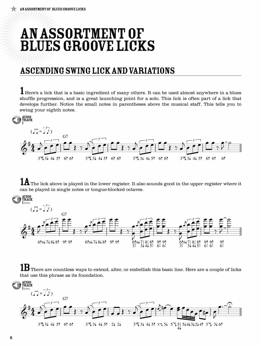 100 Authentic Blues Harmonica Licks