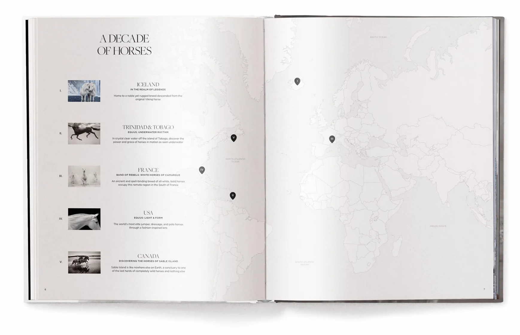 Untamed Spirits: Horses from Around the World /anglais/allemand