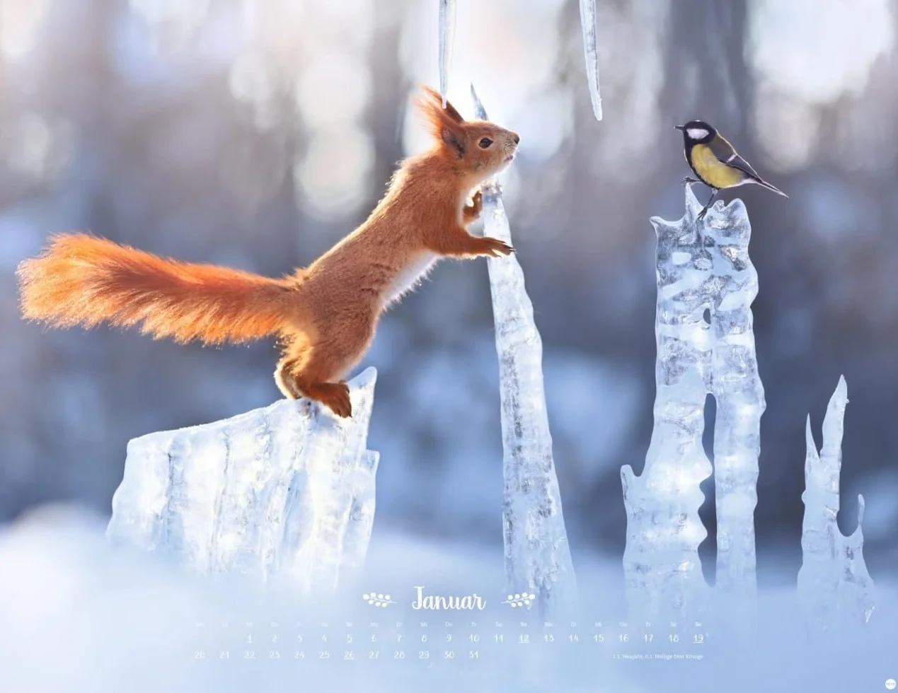 Vadim Trunov: Märchenhaftes Waldleben Posterkalender 2025: Naturkalender 2025 gestaltet mit Bildern des Naturfotografen Vadim Trunov. Fotokalender 2025 im Querformat. 44 x 34 cm.