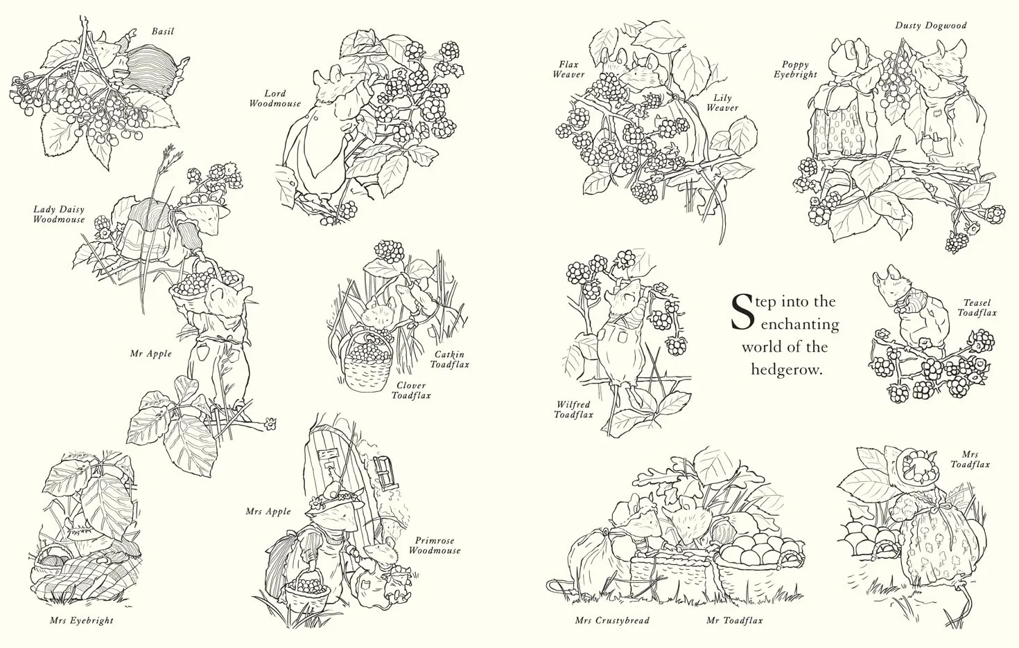Brambly Hedge: Festive Colouring Book: A magically festive colouring book for children and adults alike packed with classic illustrations for all