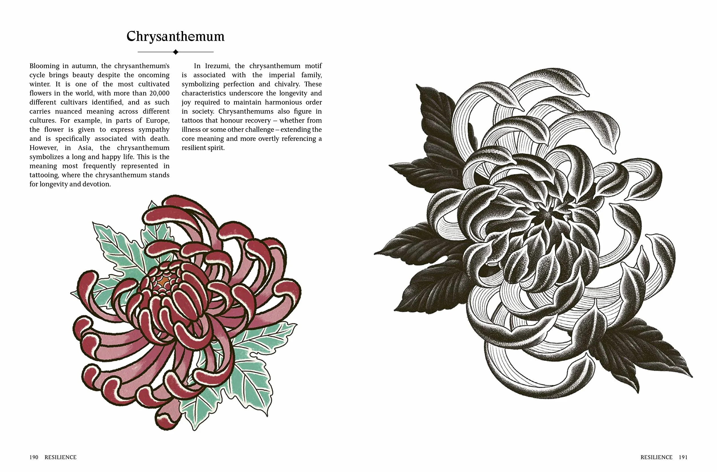 The Language of Tattoos /anglais: 130 Symbols and What They Mean