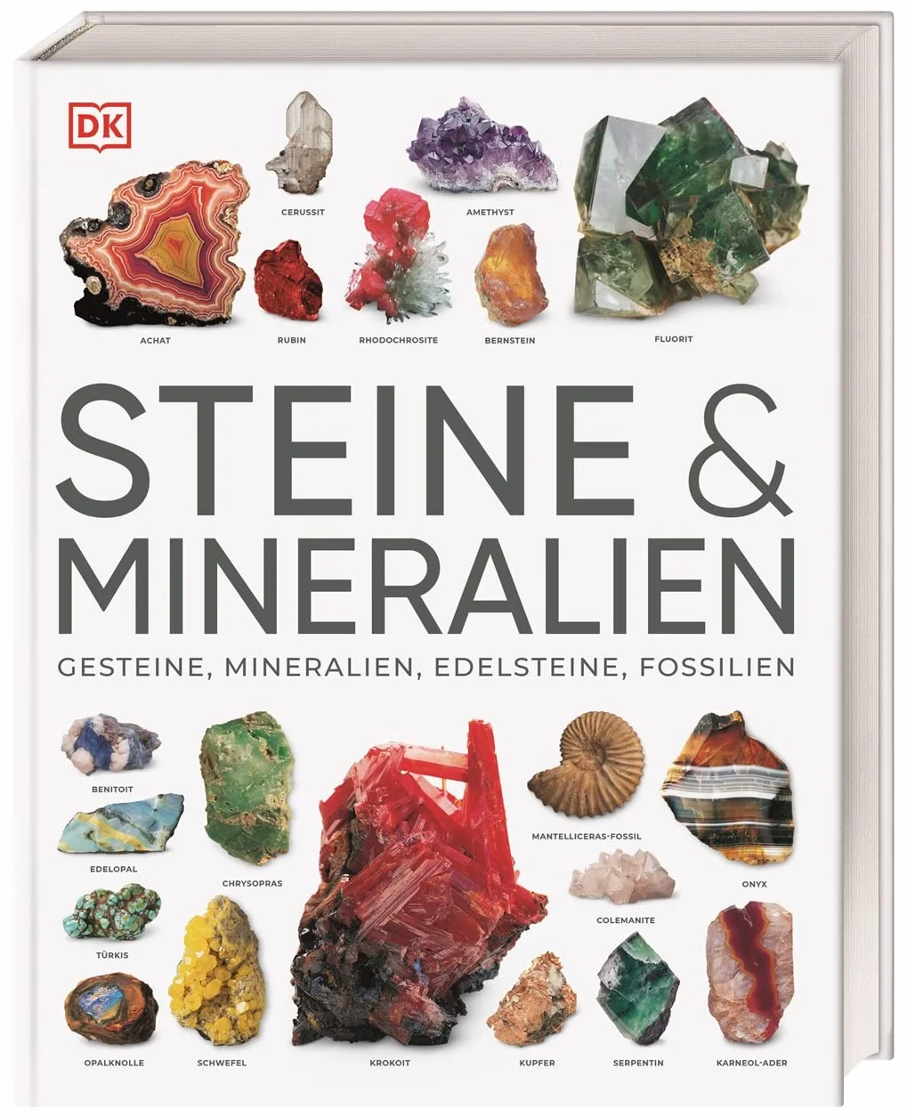 Steine & Mineralien: Über 500 faszinierende Gesteine, Minerale, Edelsteine und Fossilien. Mit mehr als 1200 spektakulären Farbfotos