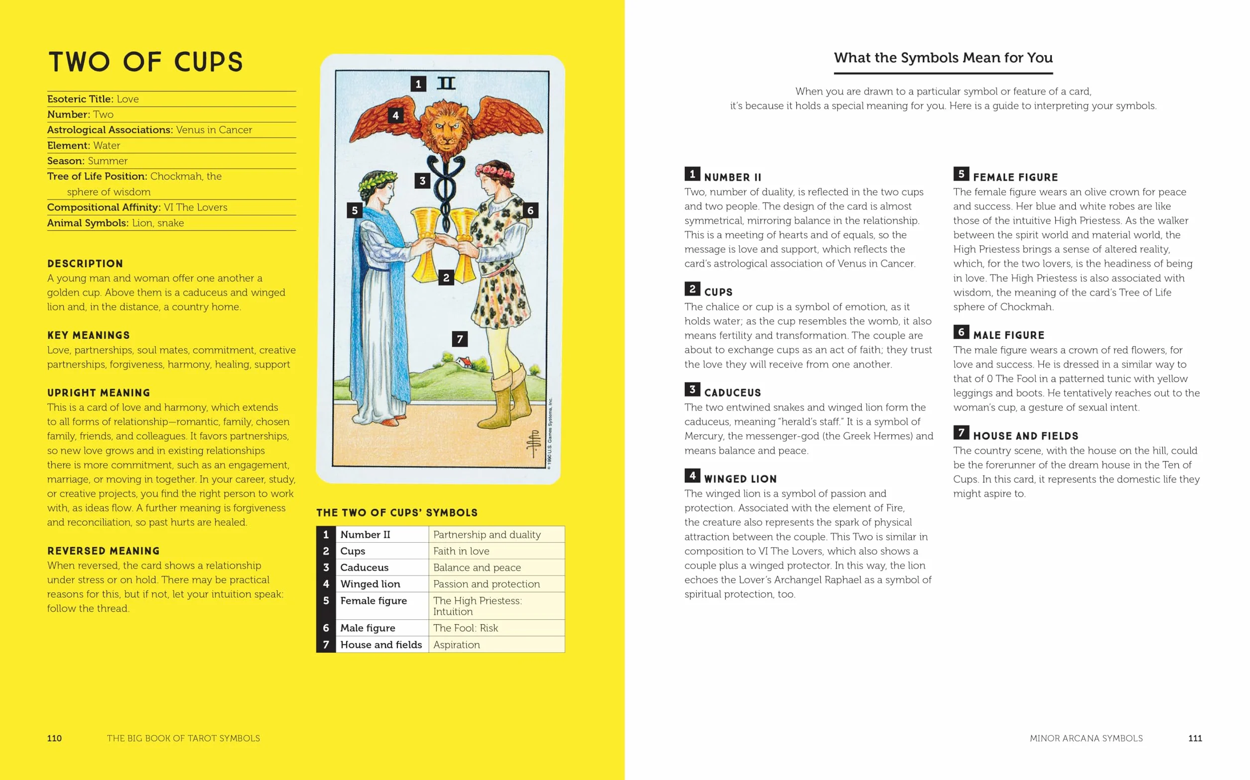The Big Book of Tarot Symbols: The Beginner's Guide to Decoding the Cards