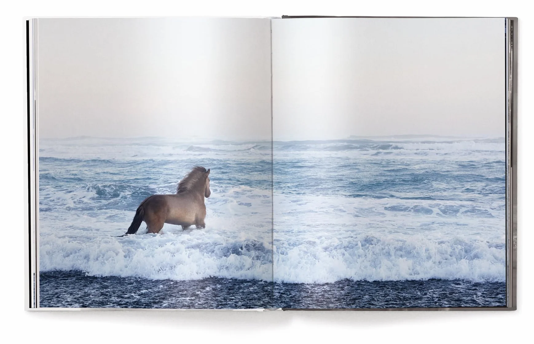 Untamed Spirits: Horses from Around the World /anglais/allemand
