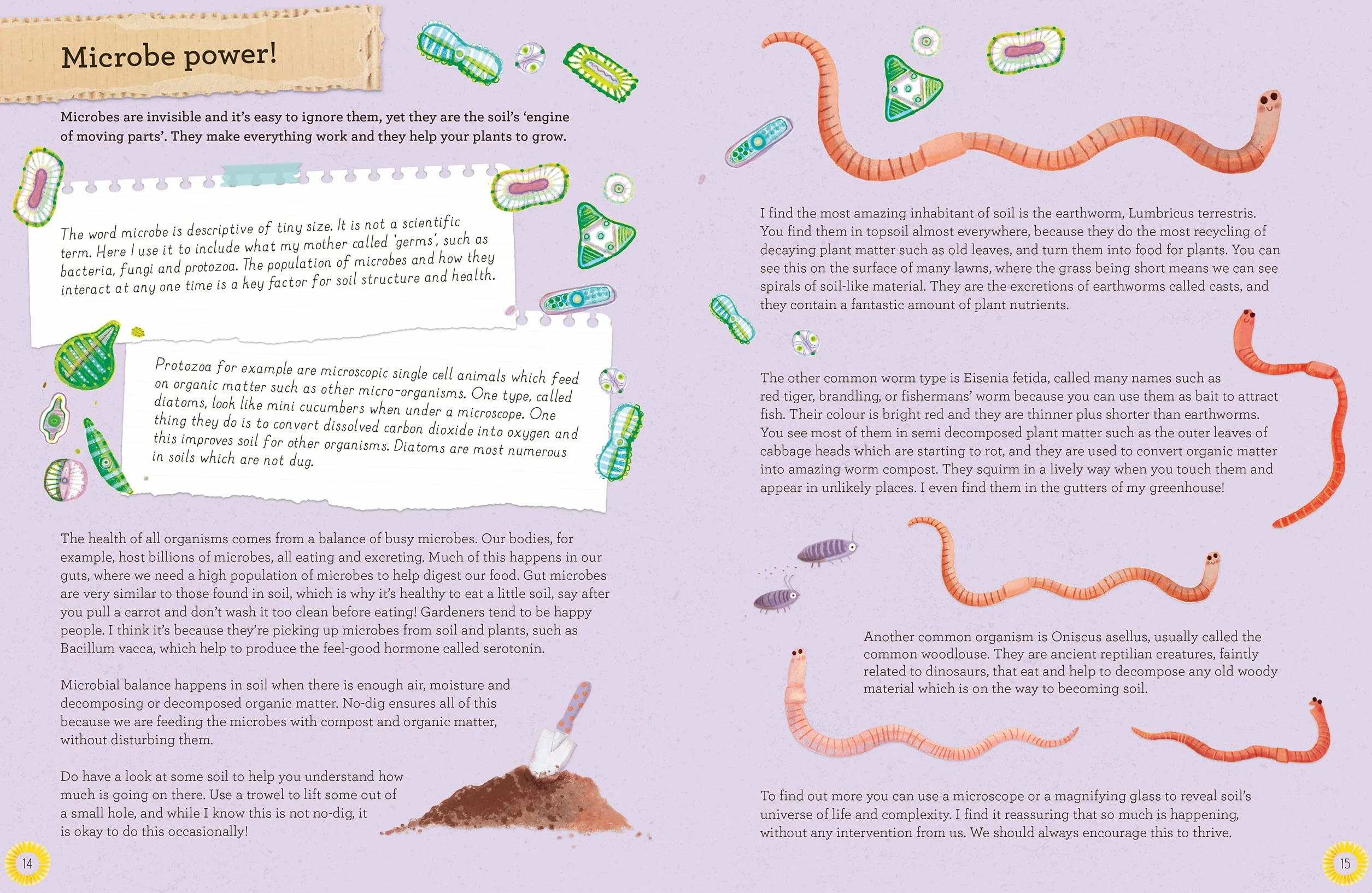 The No-Dig Children's Gardening Book: Easy and Fun Family Gardening