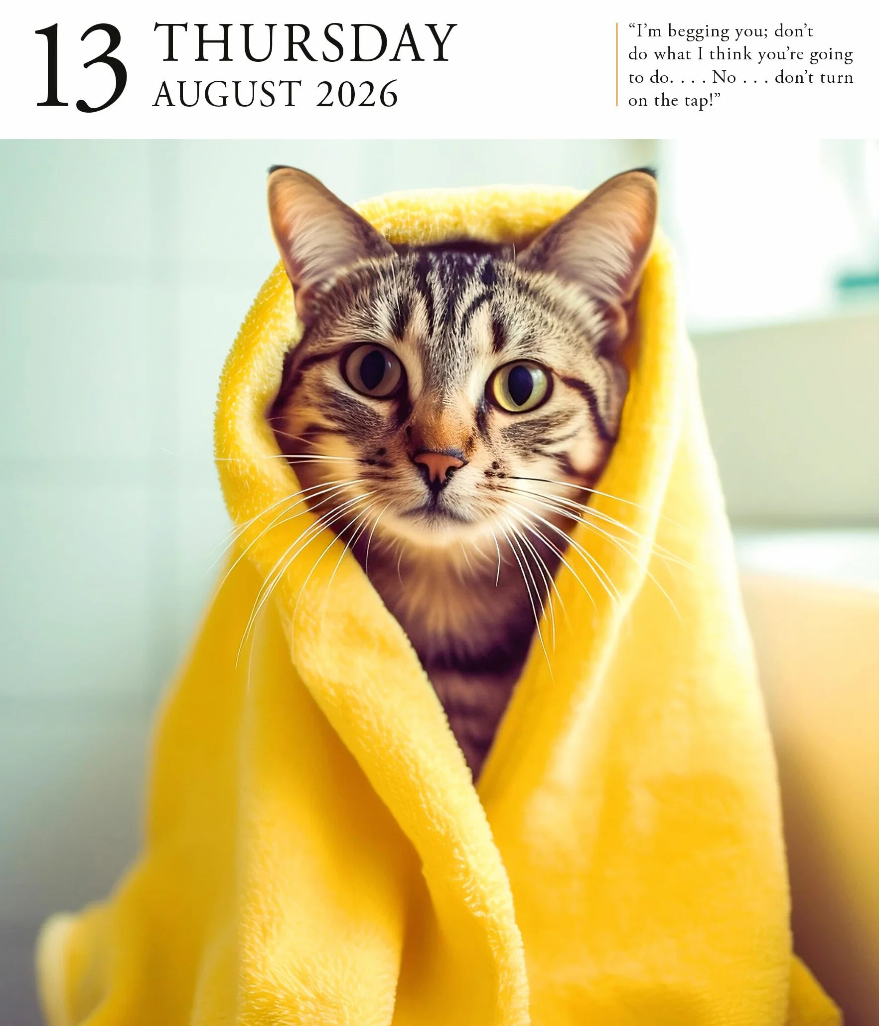 Cat Page-A-Day® Gallery Calendar 2026: A Delightful Gallery of Cats for Your Desktop