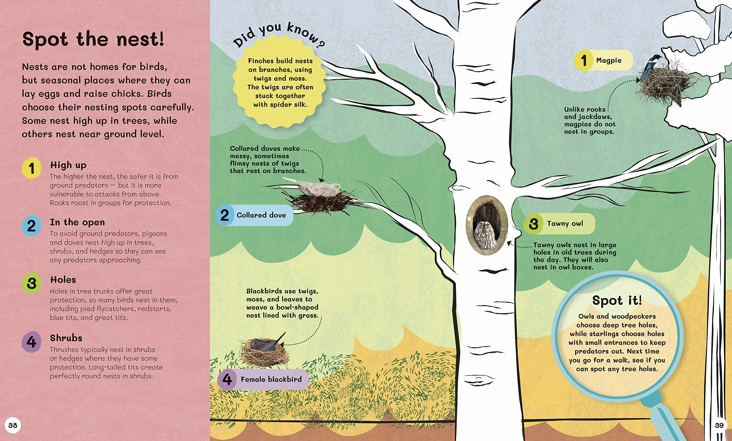 The Children's Book of Birdwatching: Nature-Friendly Tips for Spotting Birds