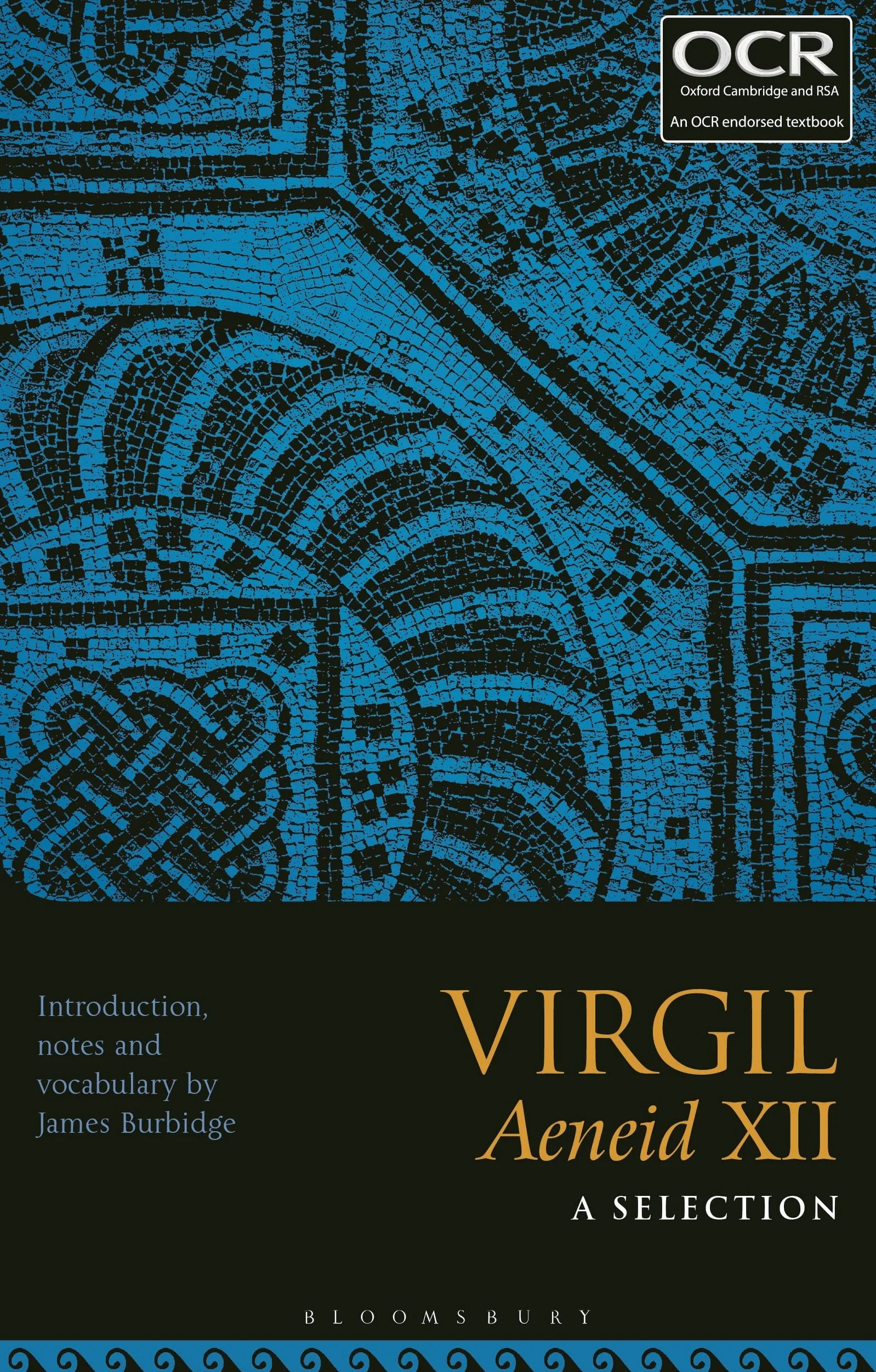 Virgil Aeneid XII: A Selection: 12