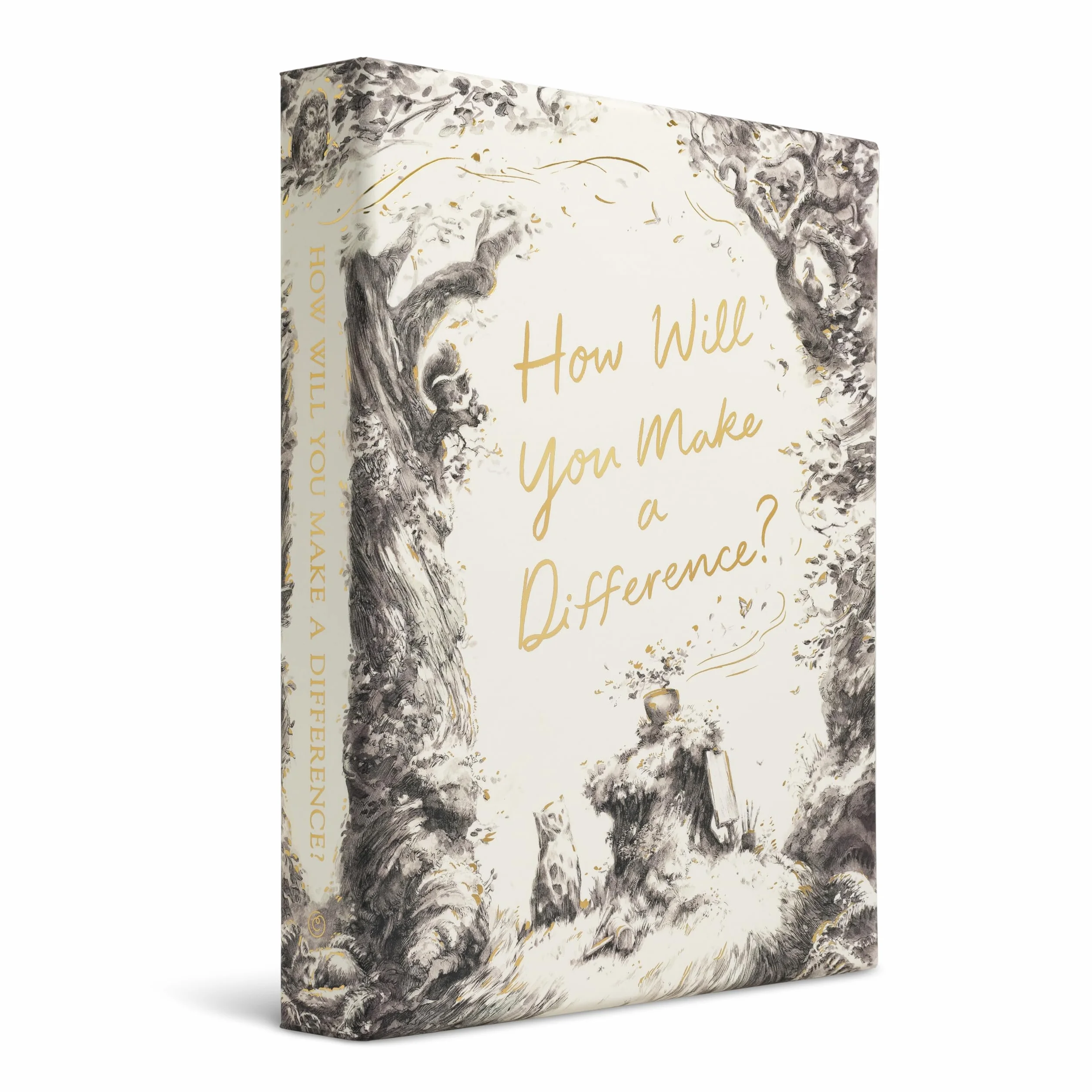 How Will You Make a Difference? Boxed Set: Trying; Noticing; Caring
