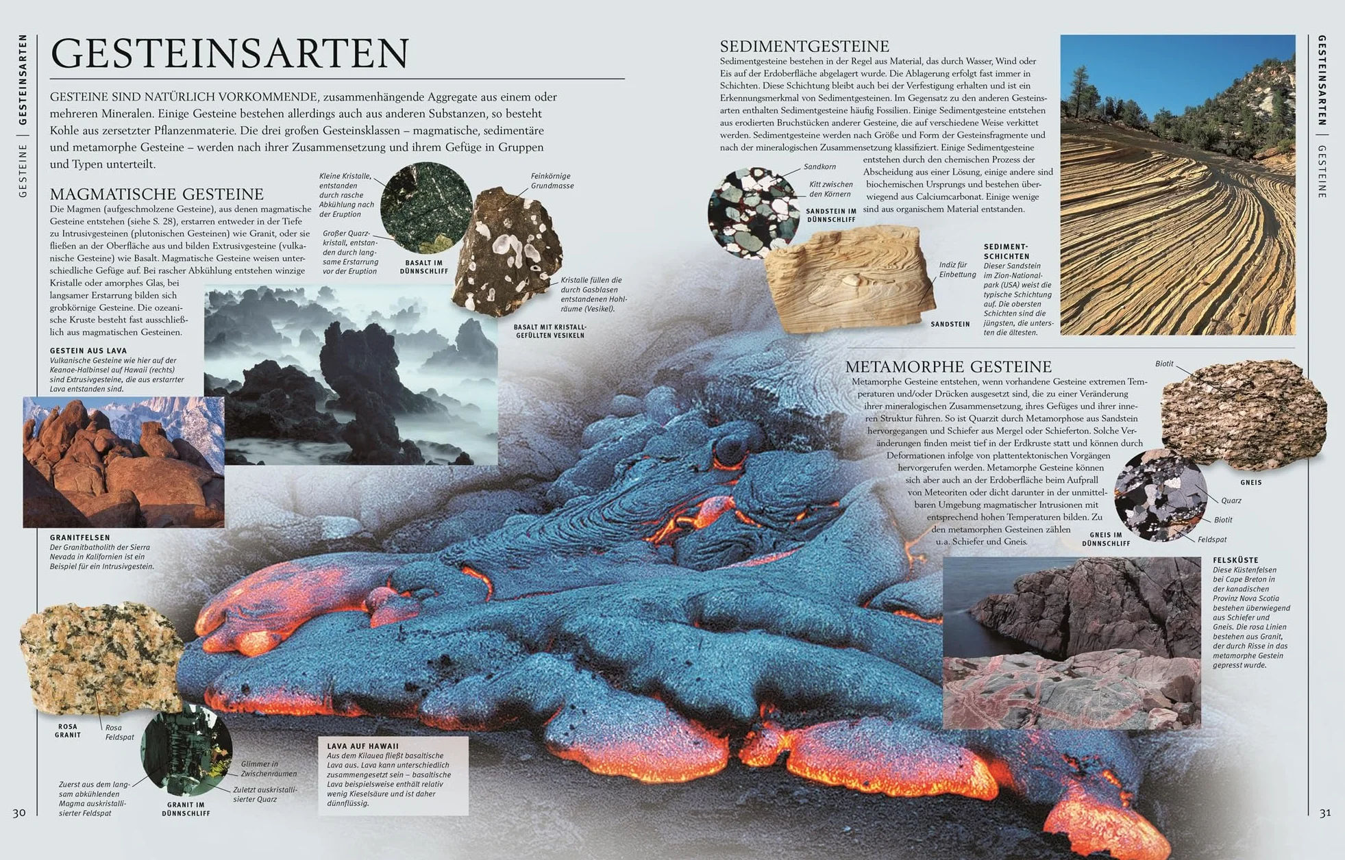 Steine & Mineralien: Über 500 faszinierende Gesteine, Minerale, Edelsteine und Fossilien. Mit mehr als 1200 spektakulären Farbfotos