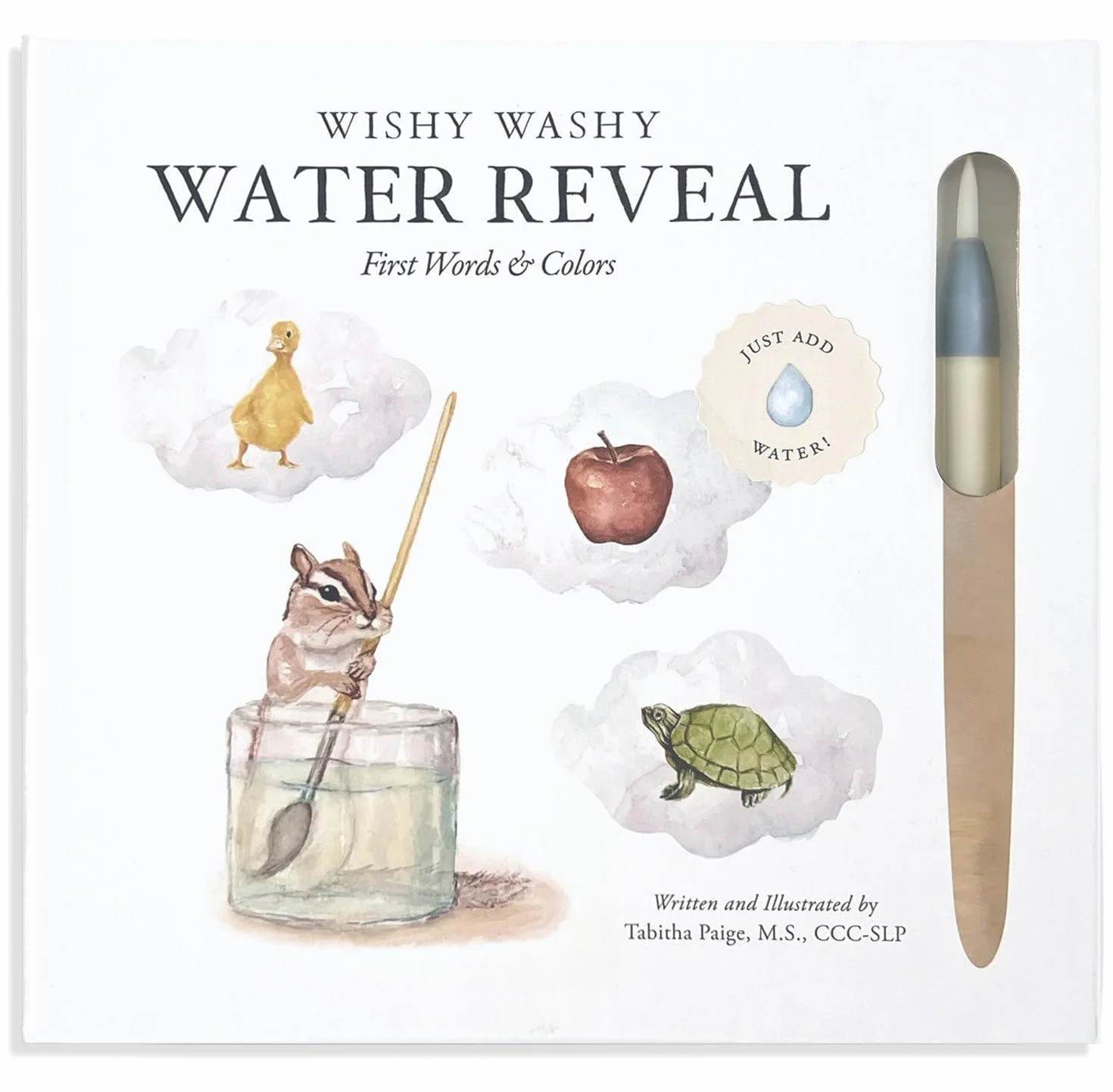 Wishy Washy (Water Reveal Edition): A Reusable Water Reveal Activity Book Teaching First Words and Colors: 14