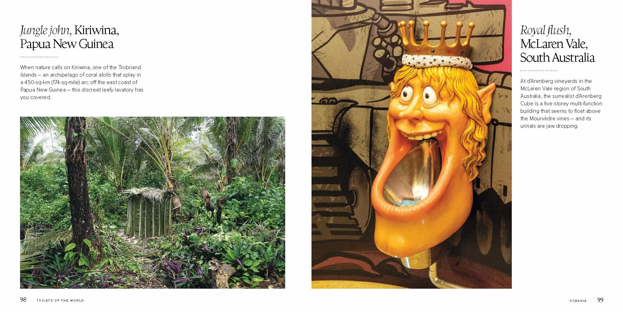 Toilets of the World 2ed -anglais-: 100 Strange and Spectacular Thrones, Commodes, Loos, and Latrines