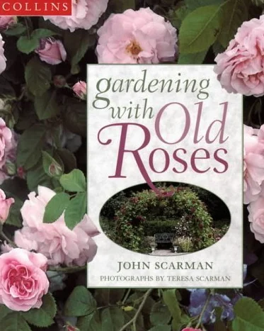 Gardening with Old Roses