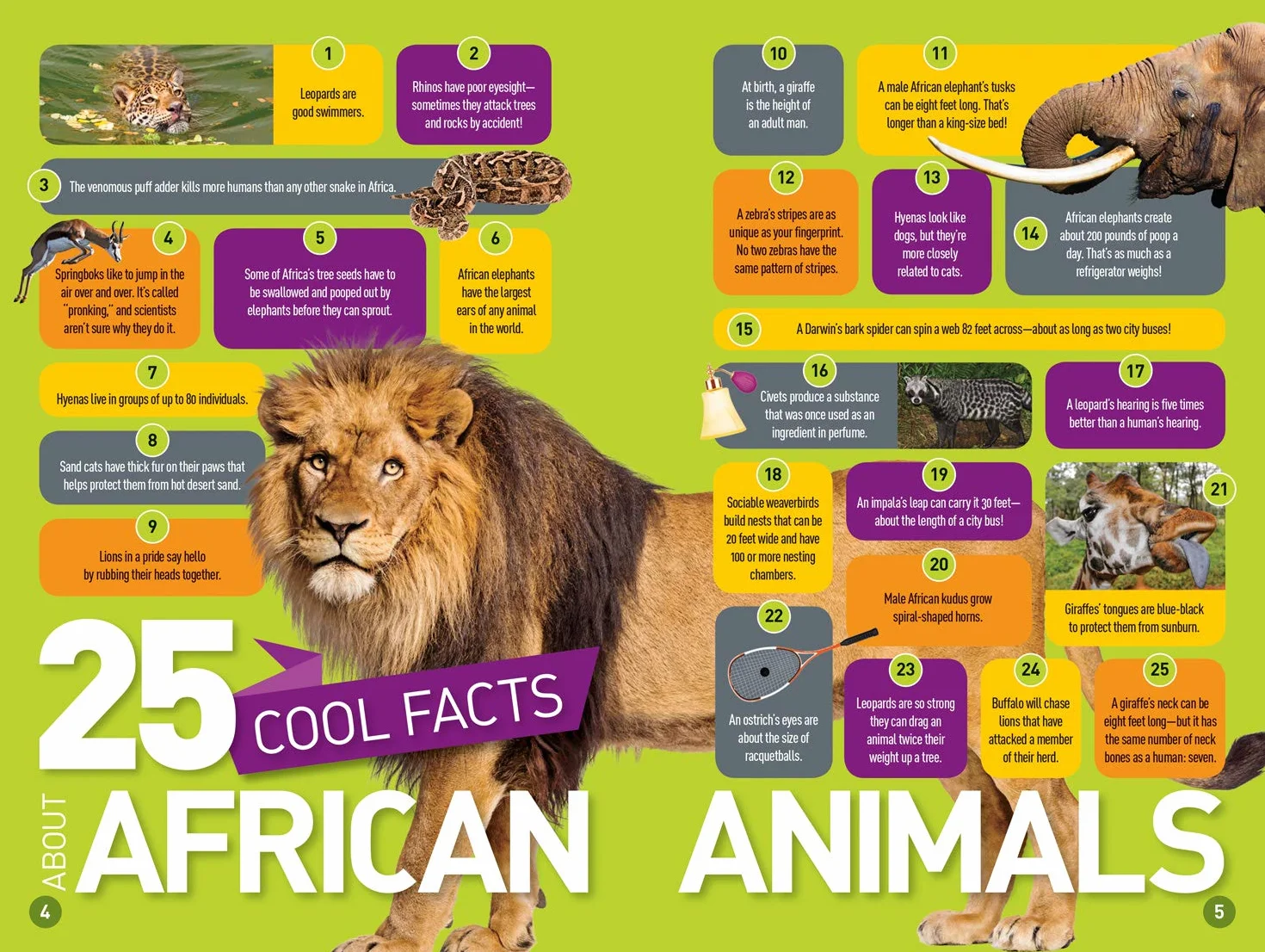 National Geographic Kids Readers: Roar! 100 Fun Facts About African Animals