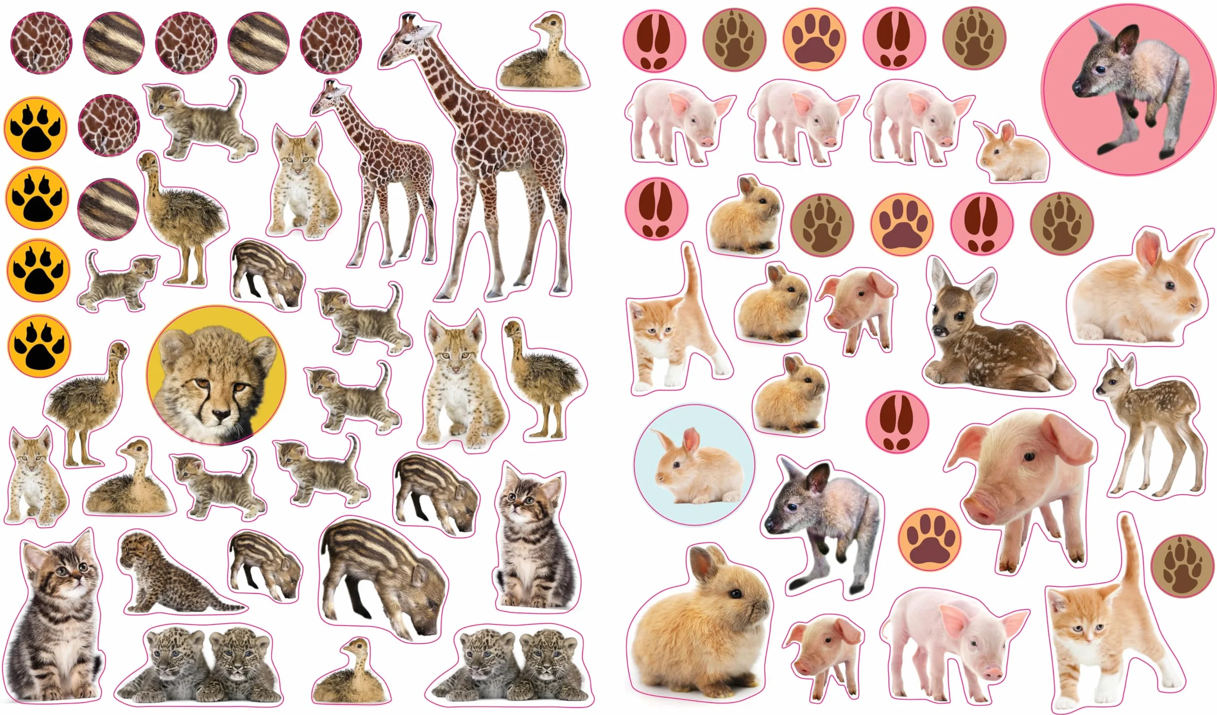 Eyelike Stickers: Baby Animals