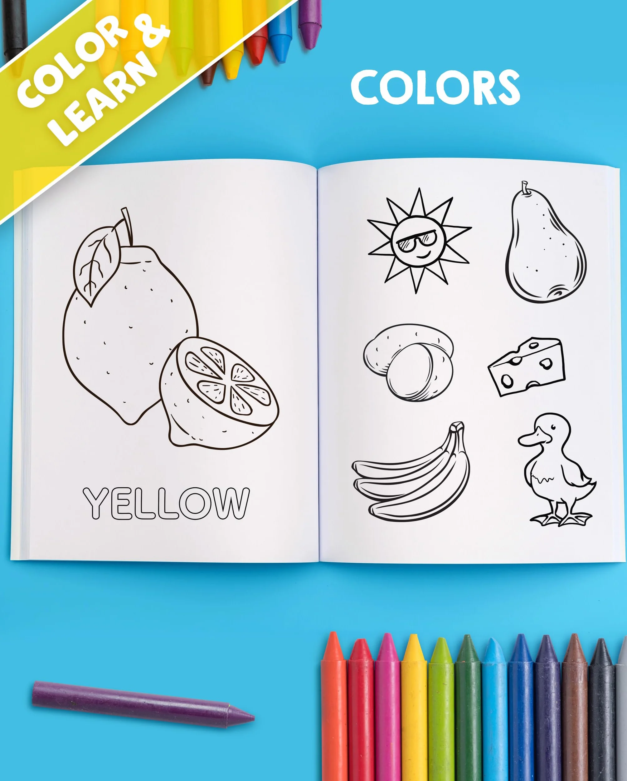 My Big Fun Coloring Book for Toddlers: Animals, Shapes, Colors, Numbers & Letters Activity Workbook Ages 2-4