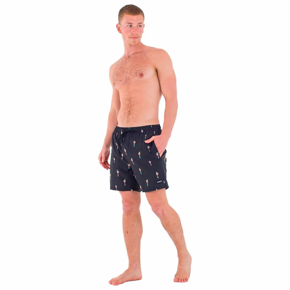 Hurley Szorty na deskę Mężczyźni Cannonball Volley 17"