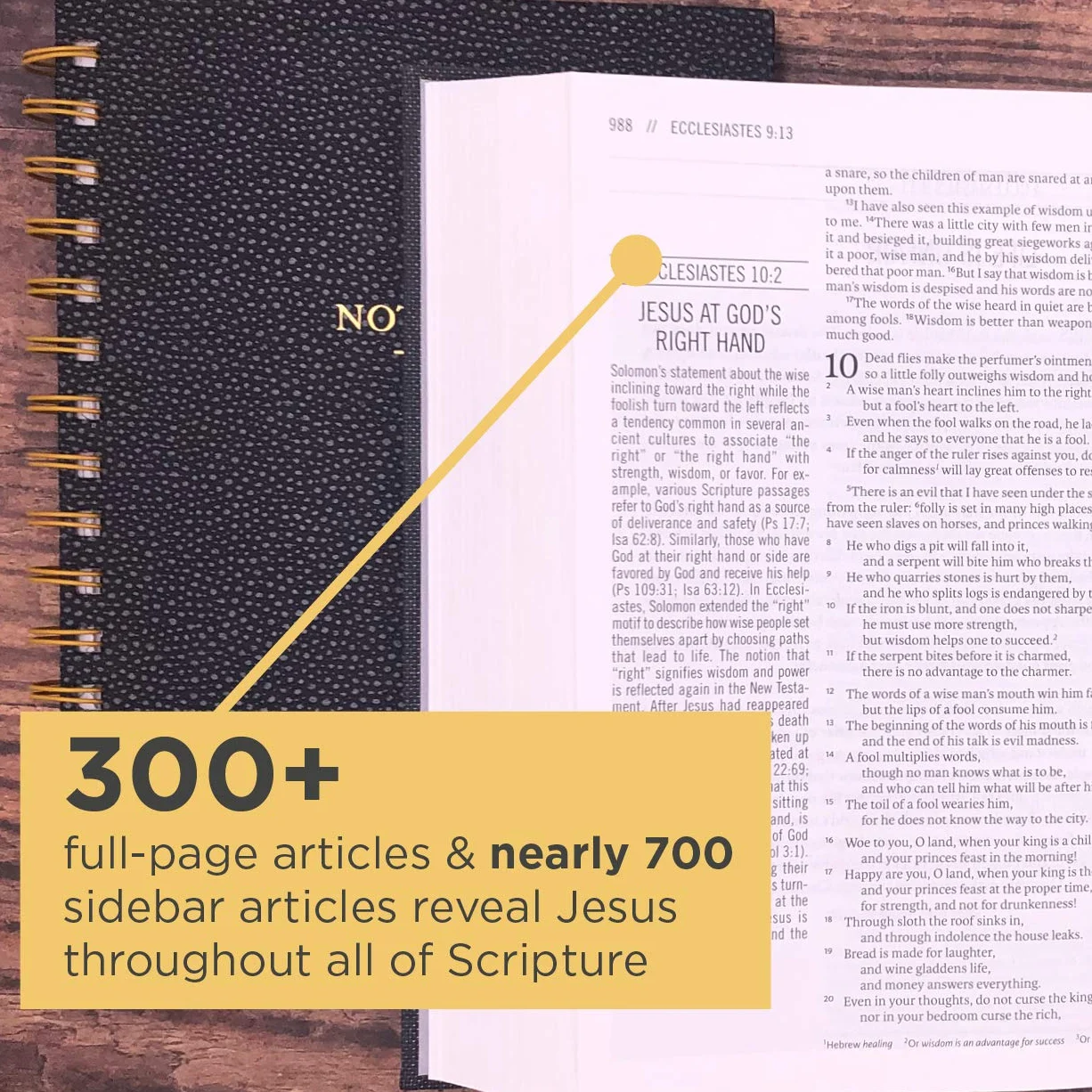 The Jesus Bible, ESV Edition, Cloth Over Board, Grey: English Standard Version, Charcoal, Cloth over Board