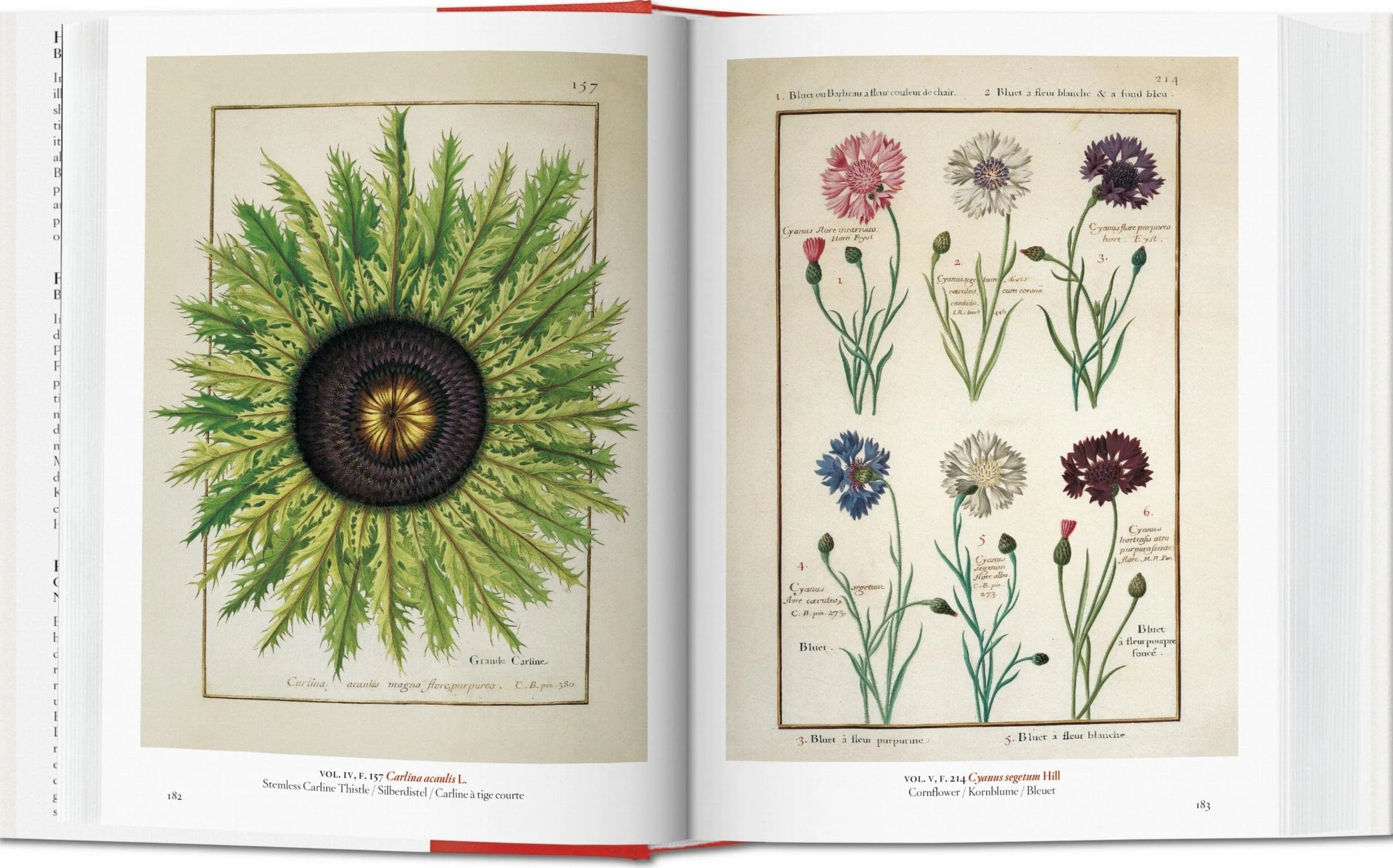 A Garden Eden: Masterpieces of Botanical Illustration: Masterpieces of Botanical Illustration. 45th Ed.