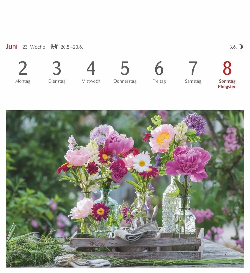 Blumenpracht Postkartenkalender 2025 - Wochenkalender mit 53 Postkarten: Kalender mit 53 traumhaften Fotos von Blumensträußen und Blüten. Blumen-Kalender 2025 mit Postkarten