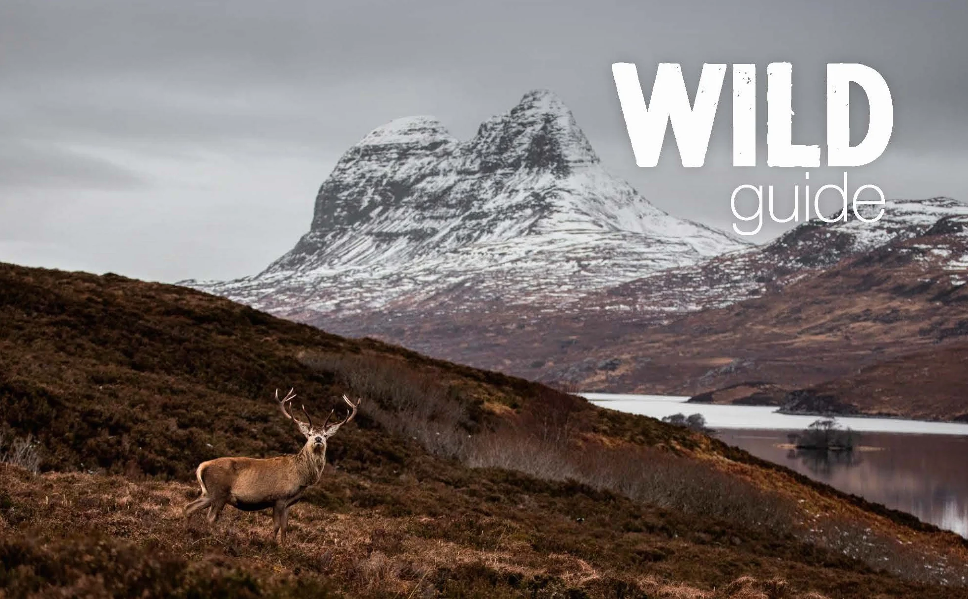 Wild Guide Scotland: Second Edition: Hidden Places, Great Adventures and the Good Life
