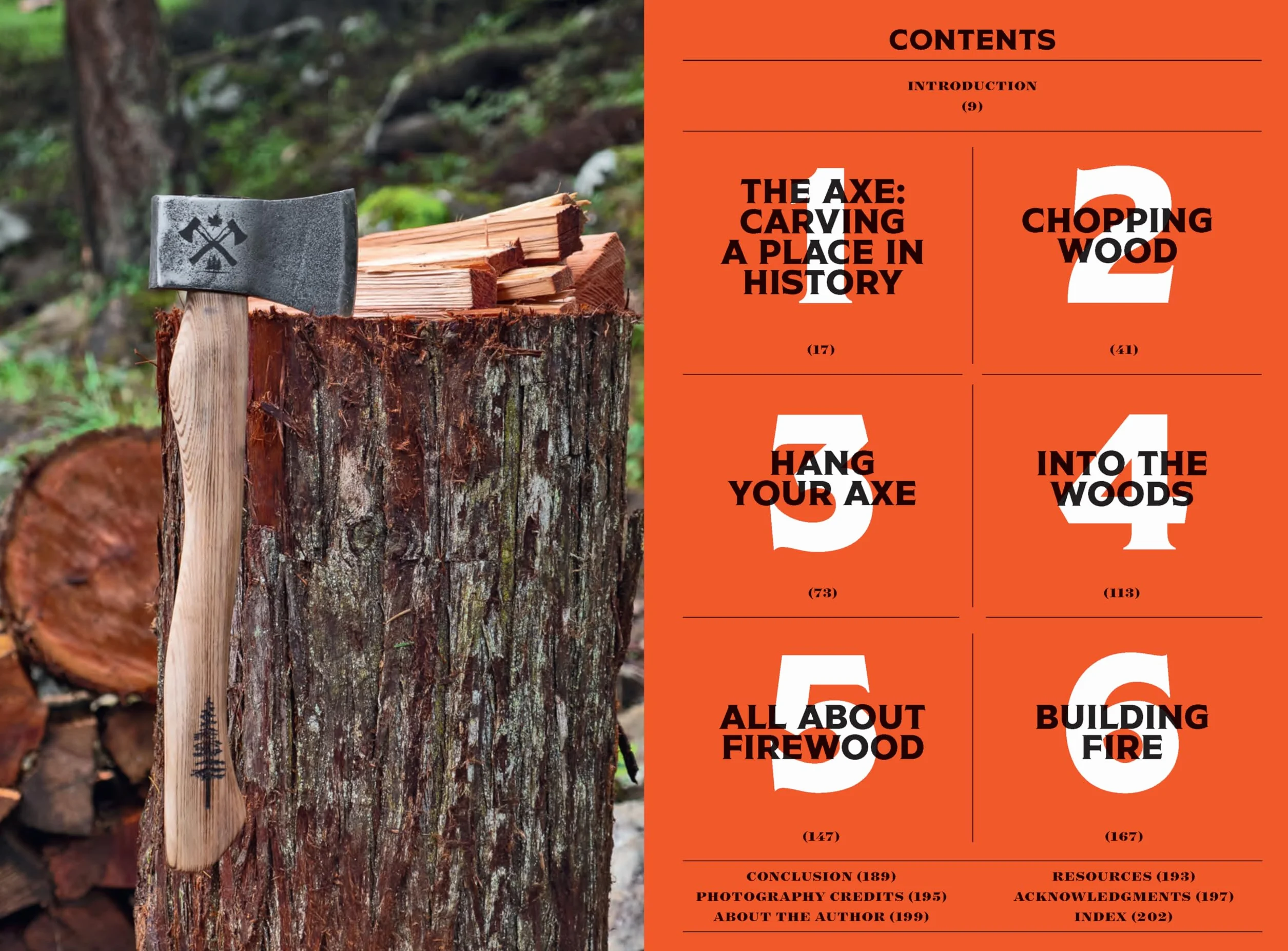 Axe in Hand: A Woodchopper's Guide to Blades, Wood, and Fire