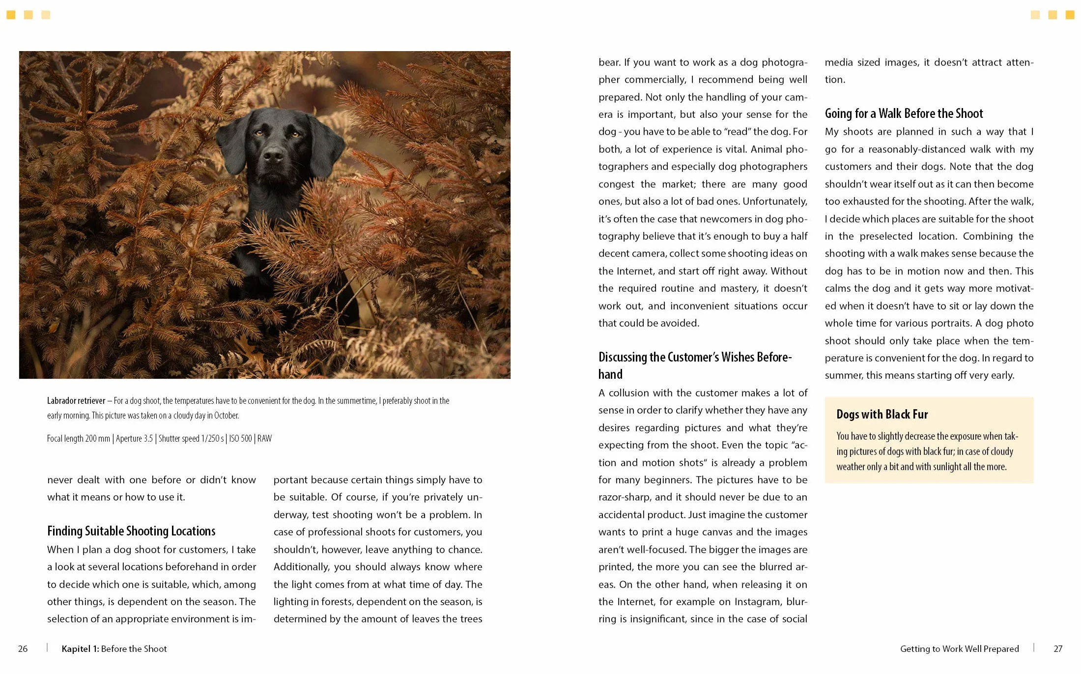 Dog Photography - Shooting with Bow "Wow" Effect