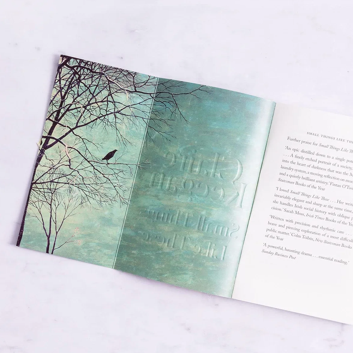Small Things Like These: The Irish Times readers' choice for best Irish book of the century