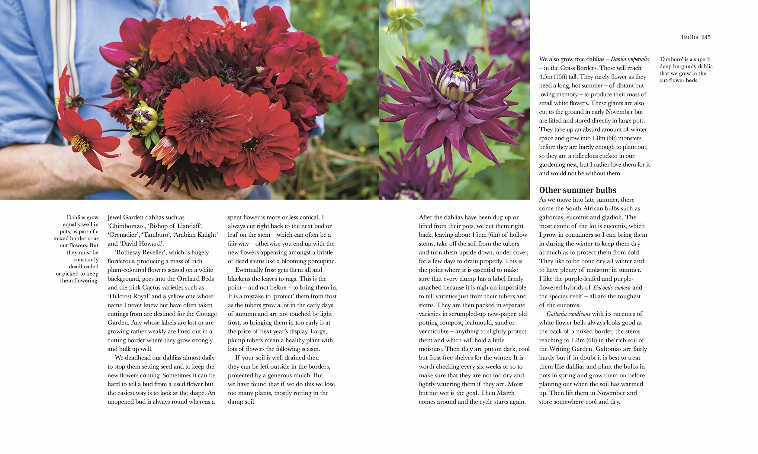 The Complete Gardener: A Practical, Imaginative Guide to Every Aspect of Gardening