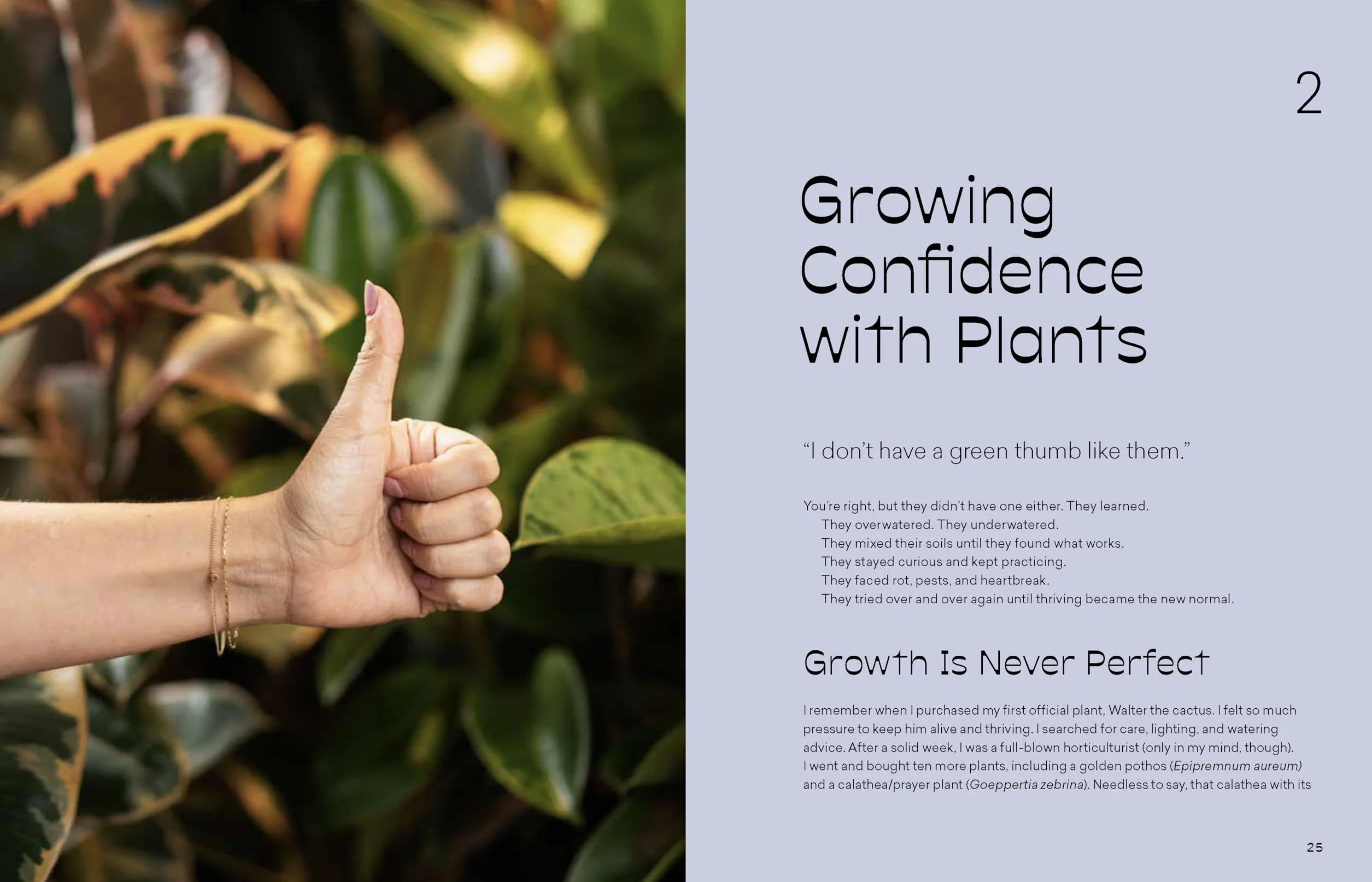 More Than Just a Plant: How to Care for Your Plants as They Care for You