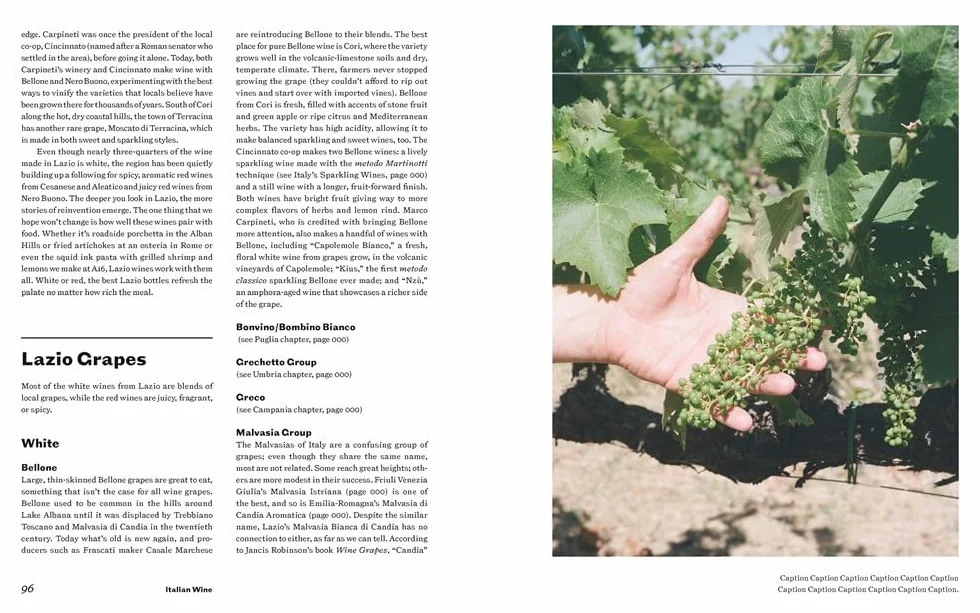 Italian Wine: The History, Regions, and Grapes of an Iconic Wine Country