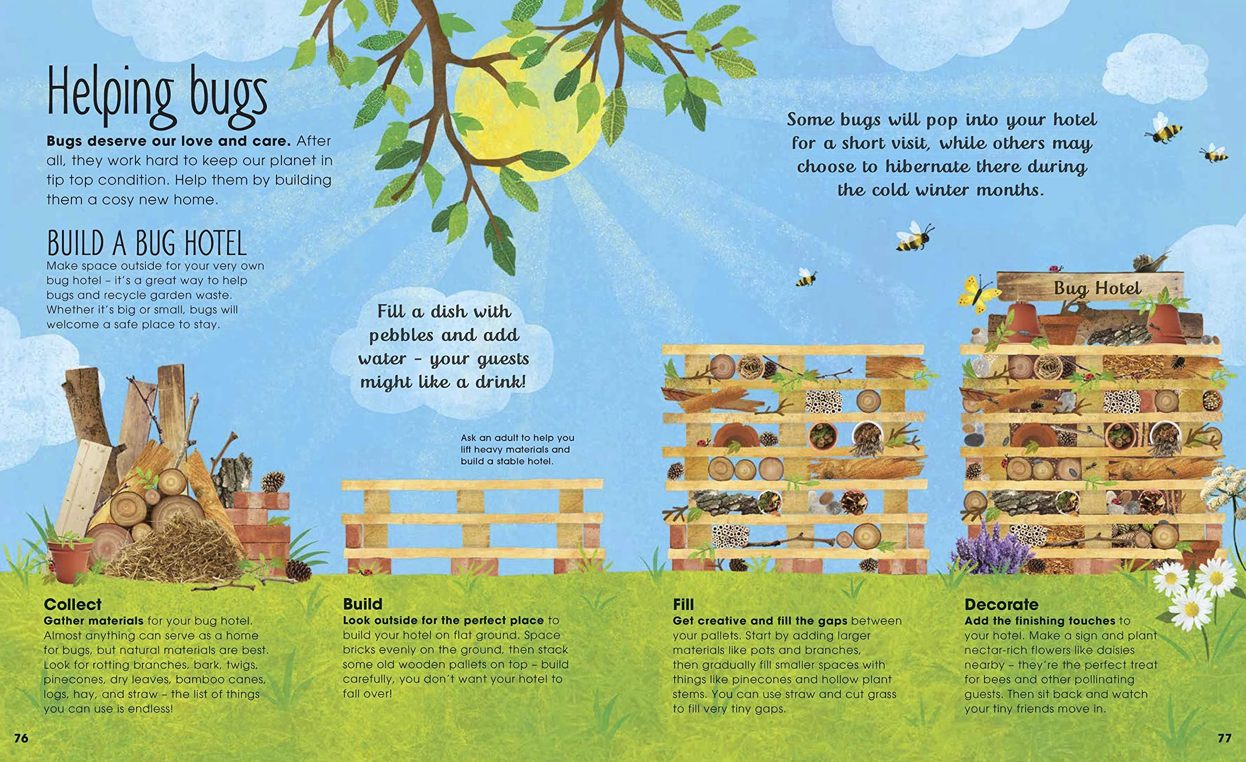 The Book of Brilliant Bugs (The Magic and Mystery of Nature)