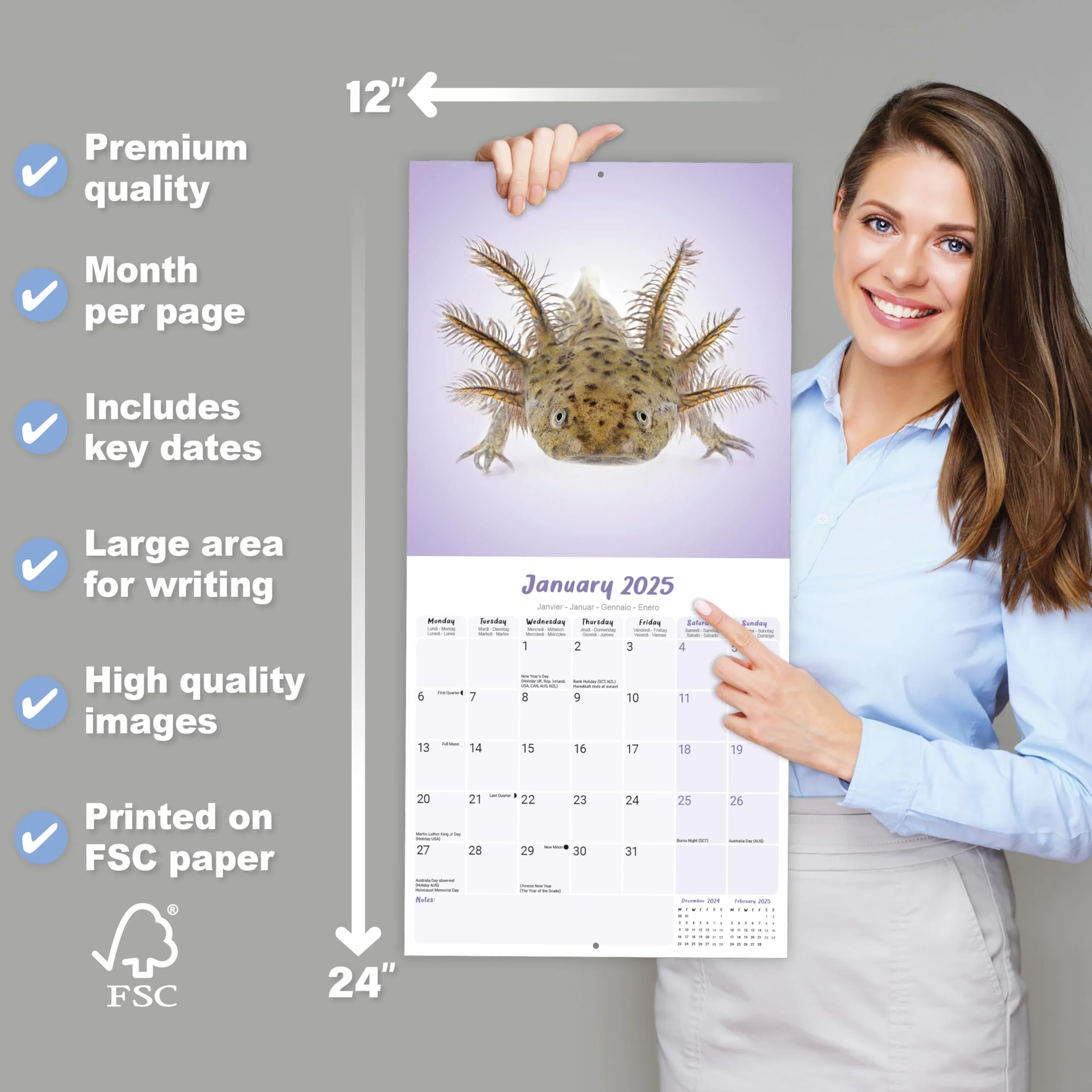 Axolotls Calendar 2025 Square Animal Wall Calendar - 16 Month: Original Avonside-Kalender [Mehrsprachig] [Kalender]