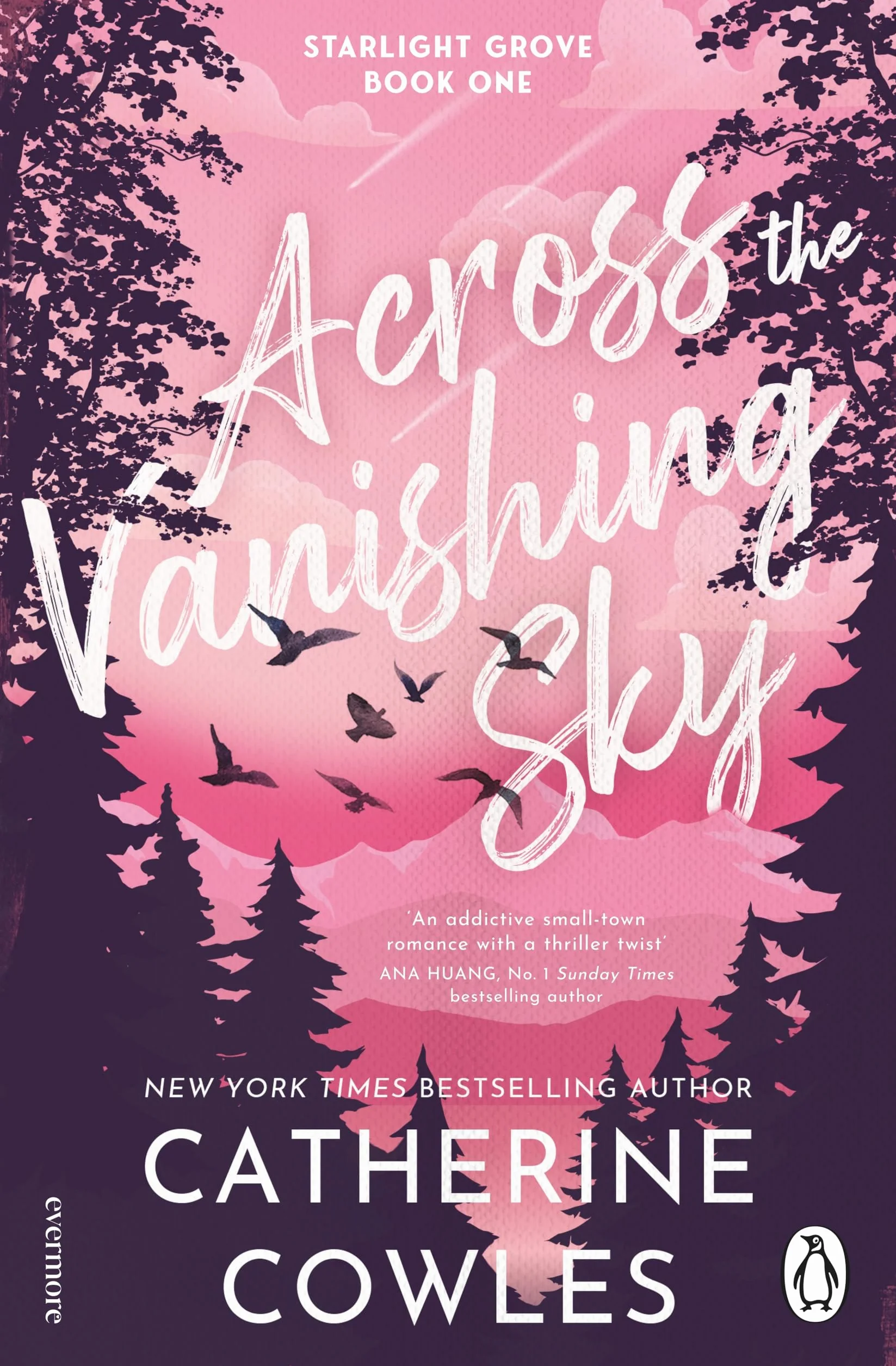 Across the Vanishing Sky: The gripping new spicy small town romance full of mystery and suspense from the bestselling author of Fragile Sanctuary: 1