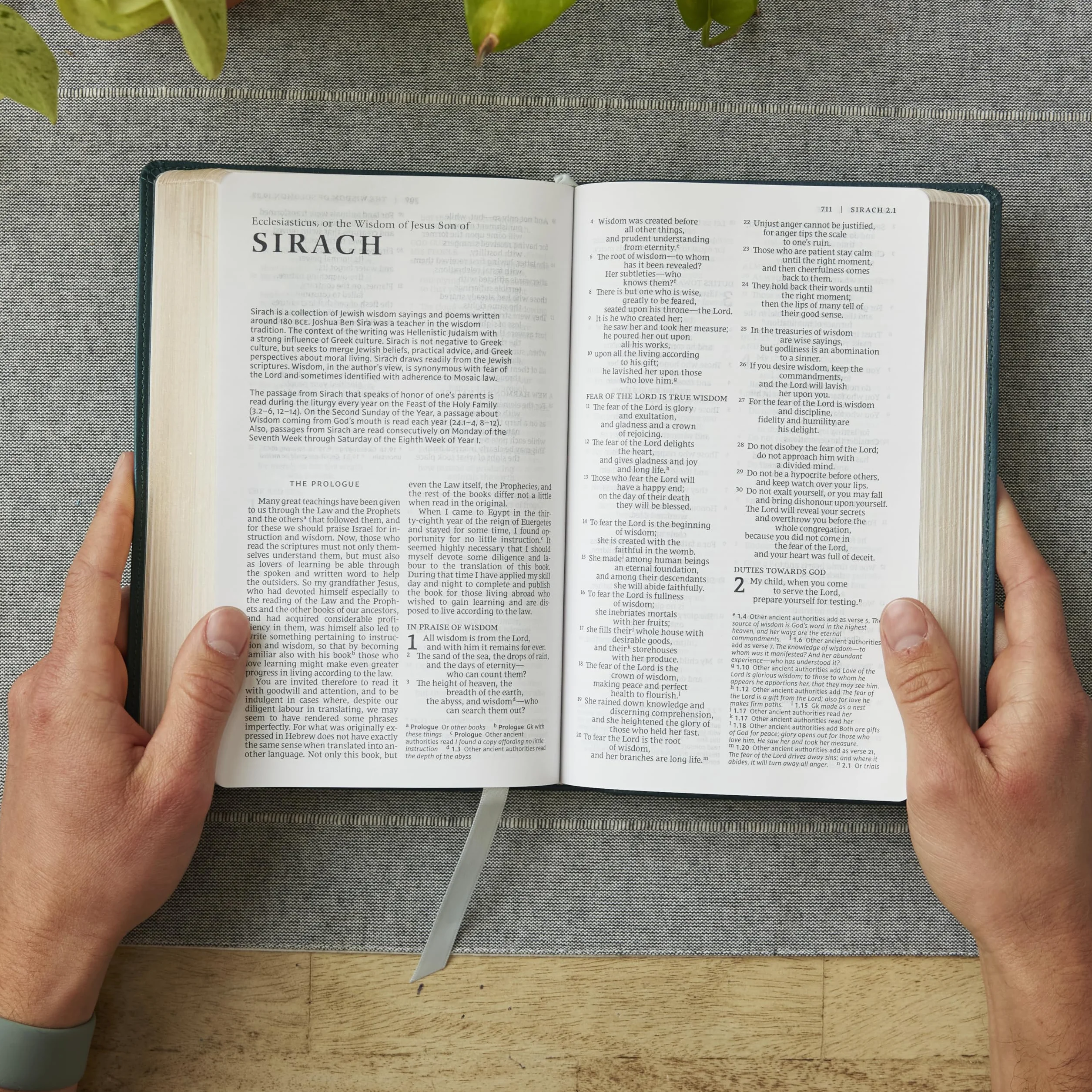 Nrsv, Catholic Bible, Gift Edition, Leathersoft, White, Comfort Print: Holy Bible
