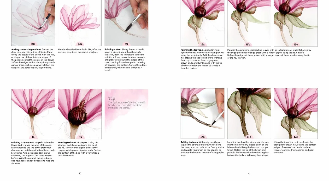 How to Paint Transparent Watercolour Flowers