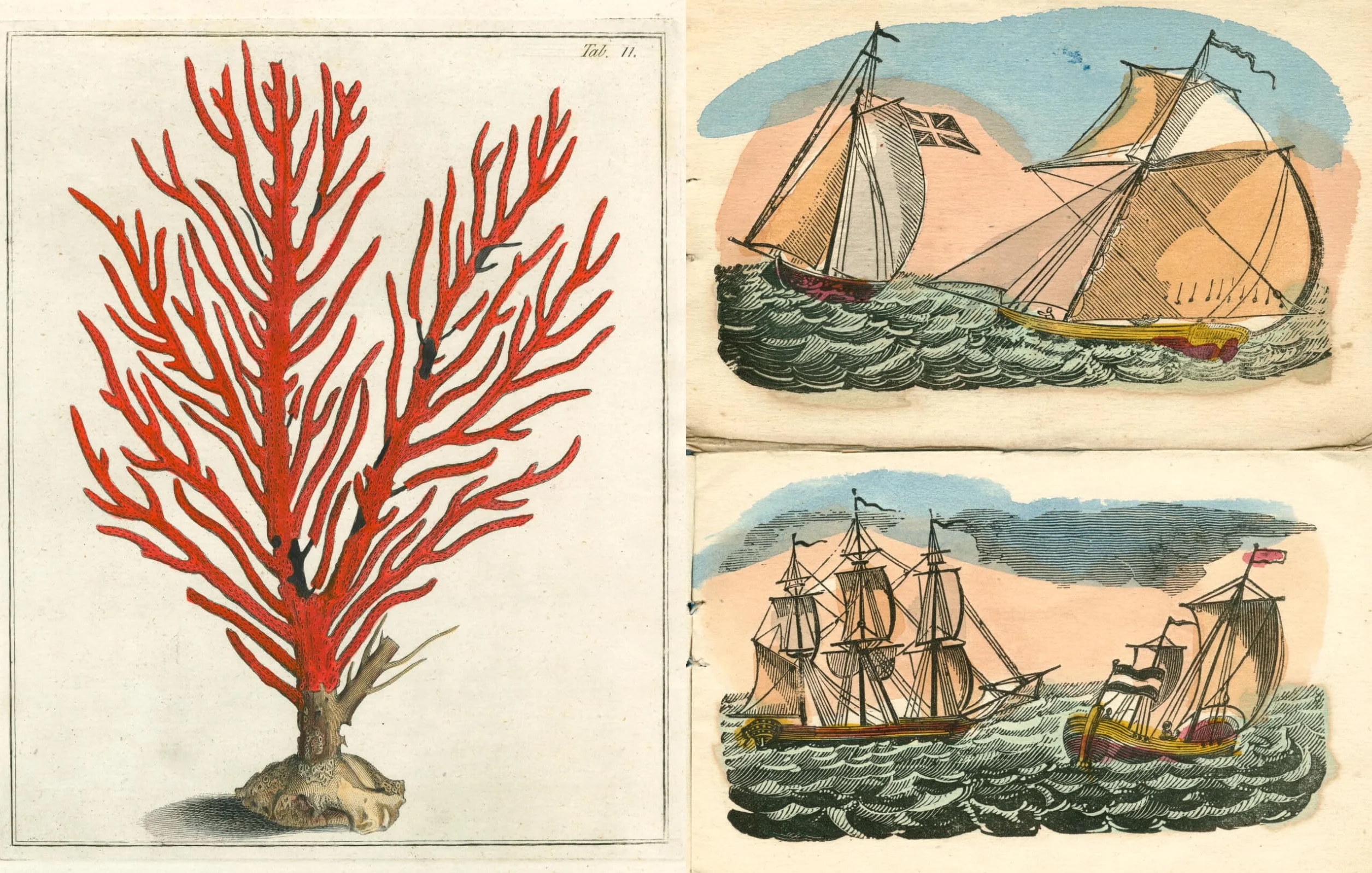 John Derian Picture Book II /anglais: 2