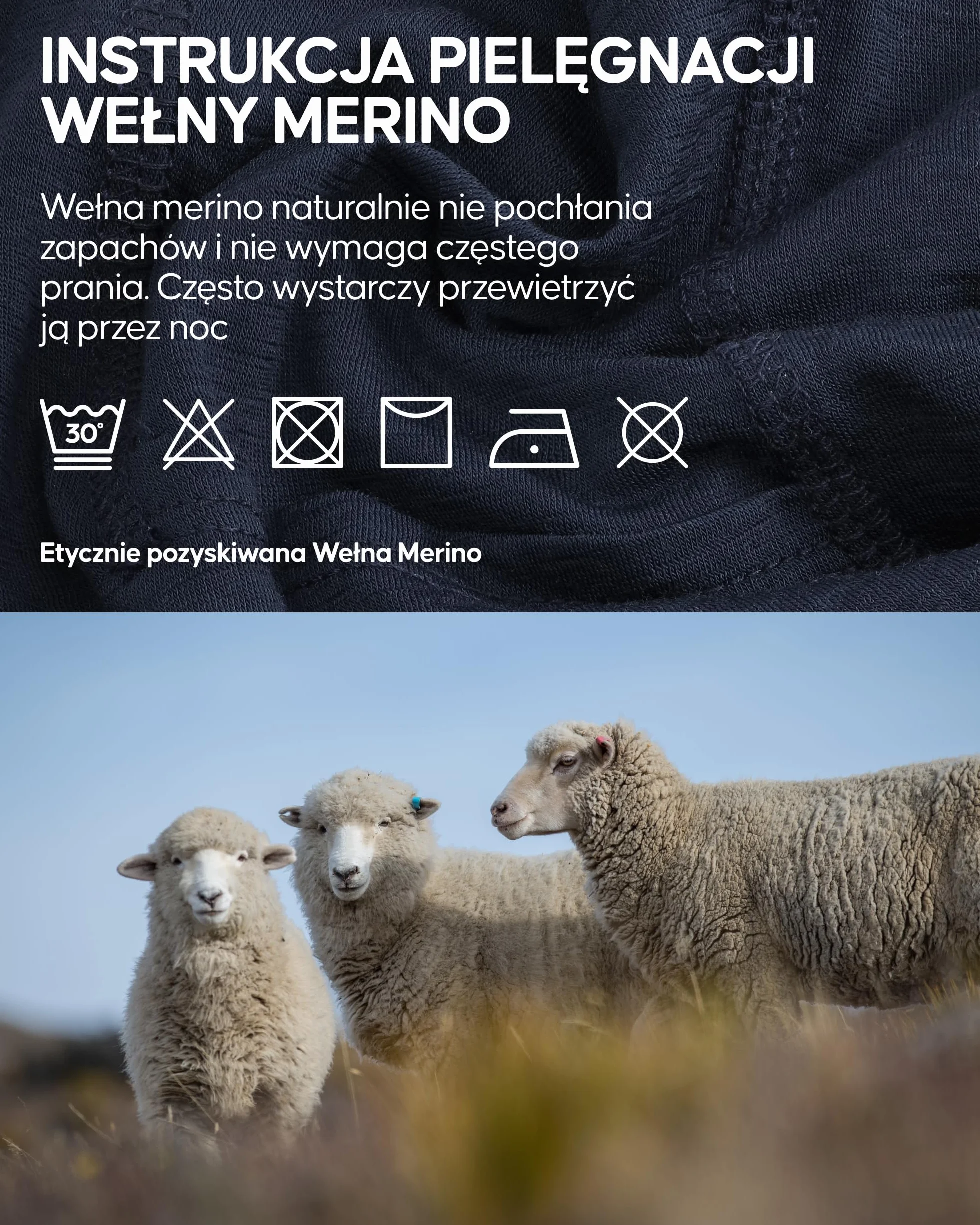 DANISH ENDURANCE Kominiarka 100% Wełna Merino, Lekka Balaklava z Osłoną Twarzy, Maska Narciarska, Unisex