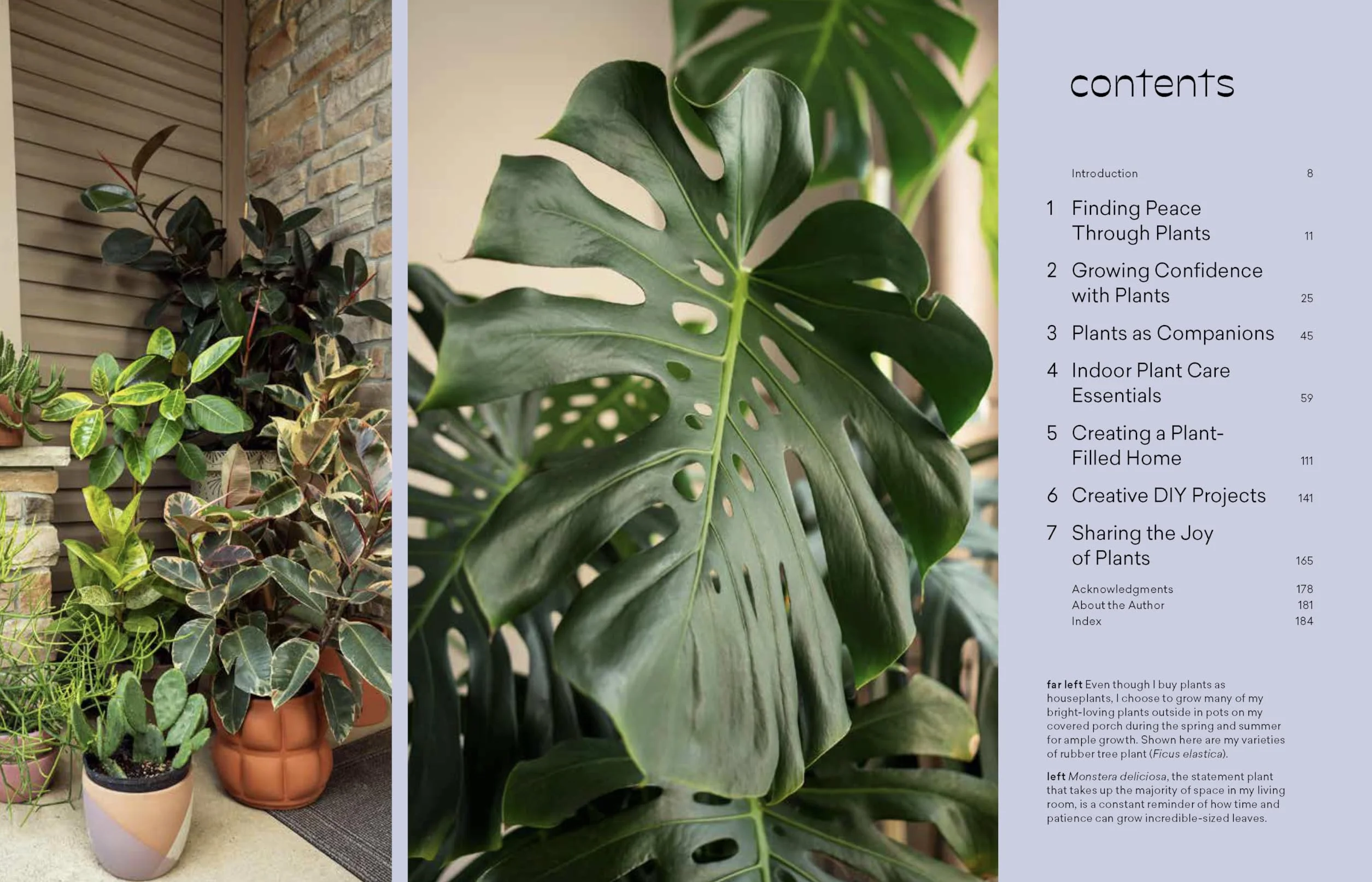 More Than Just a Plant: How to Care for Your Plants as They Care for You