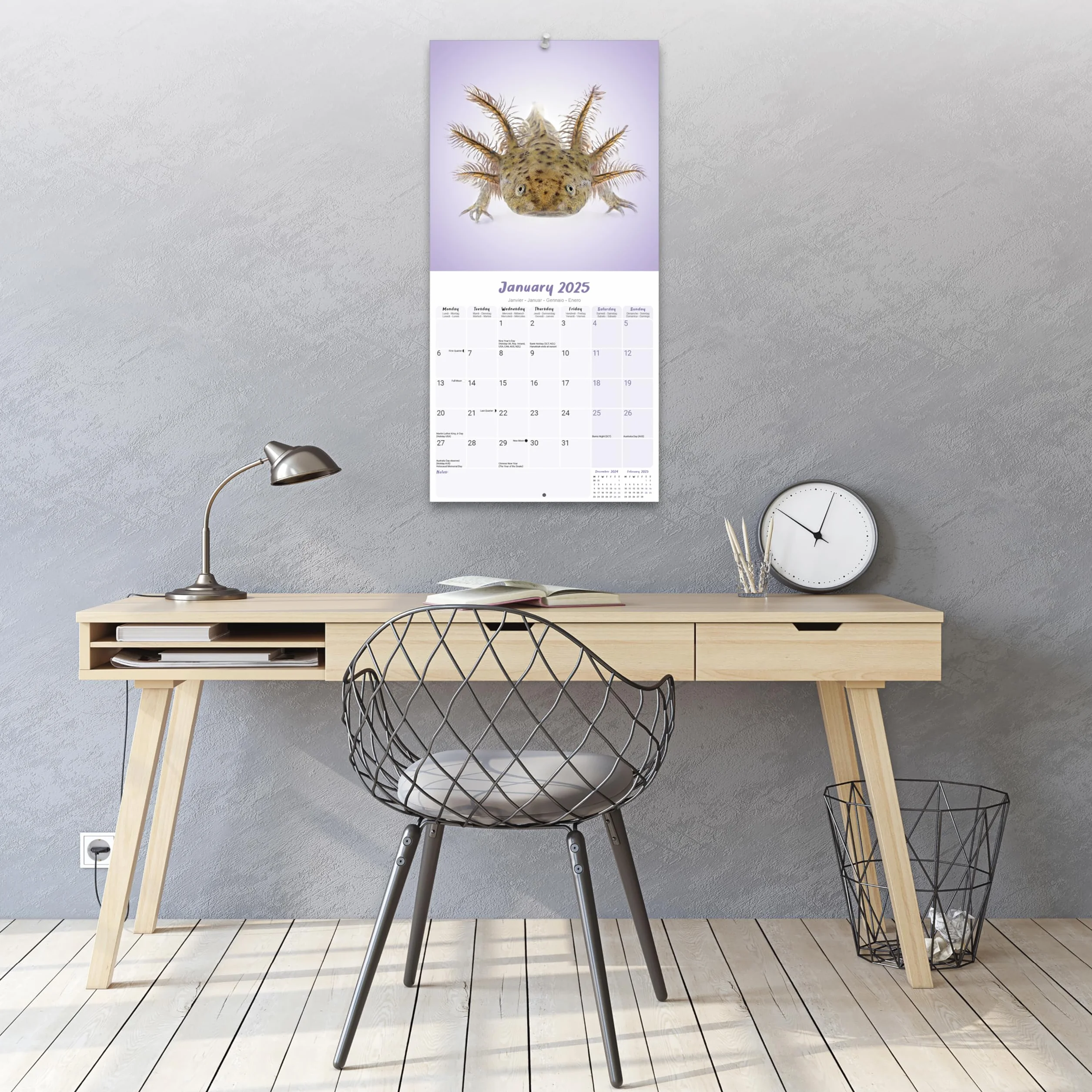 Axolotls Calendar 2025 Square Animal Wall Calendar - 16 Month: Original Avonside-Kalender [Mehrsprachig] [Kalender]