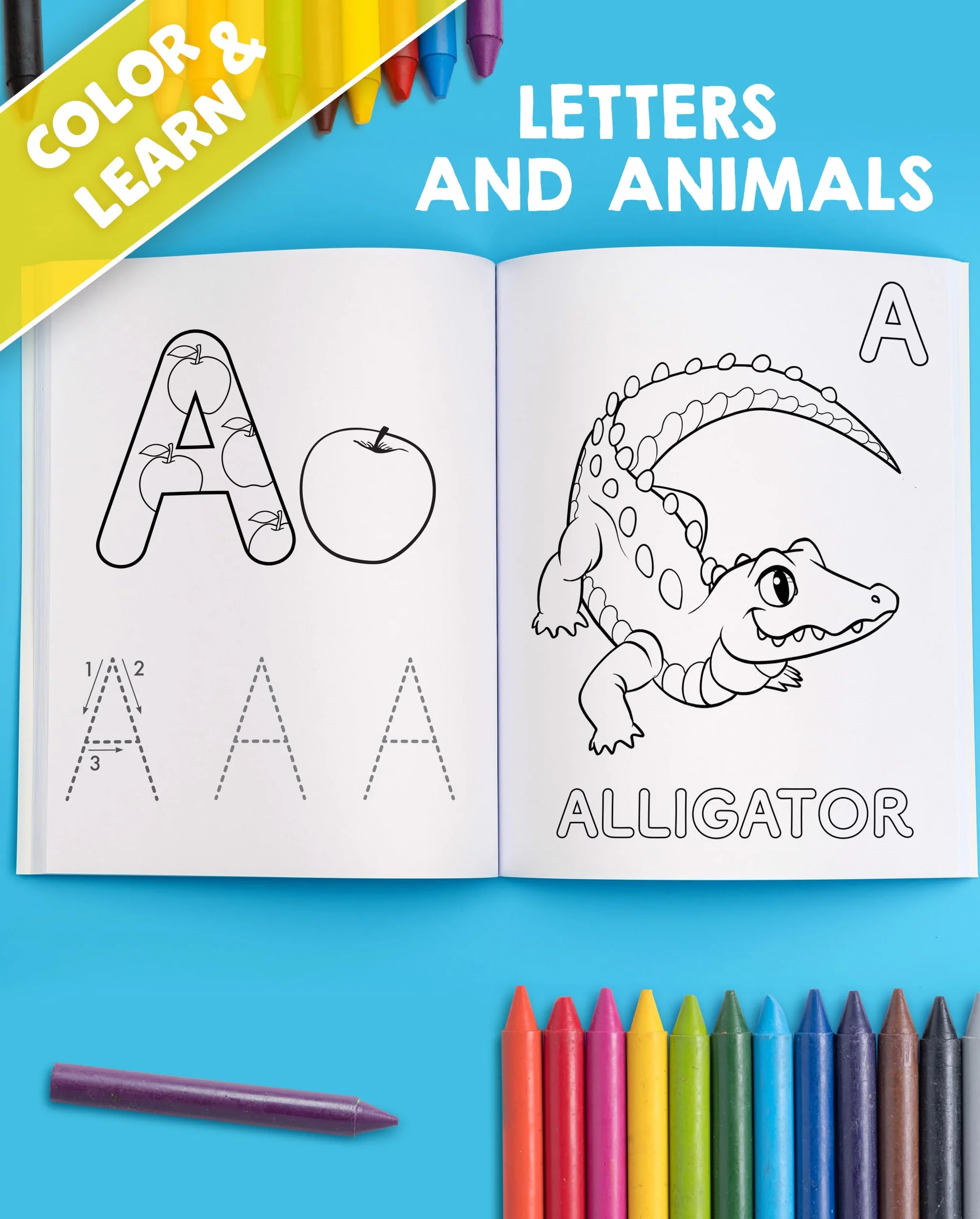 My Big Fun Coloring Book for Toddlers: Animals, Shapes, Colors, Numbers & Letters Activity Workbook Ages 2-4