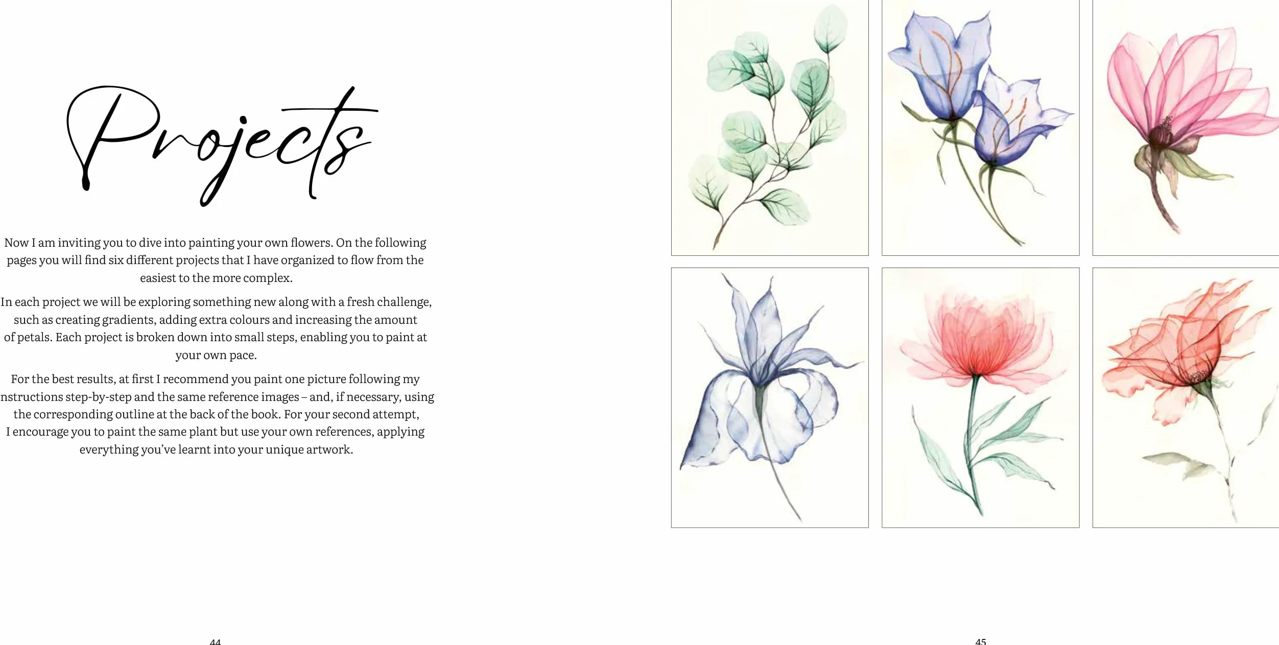 How to Paint Transparent Watercolour Flowers