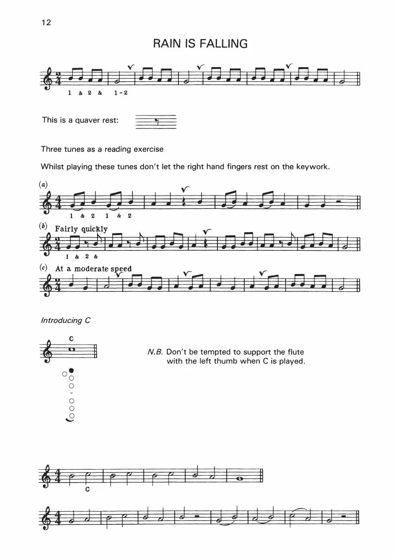 A beginners book for the flute part 1: Part One