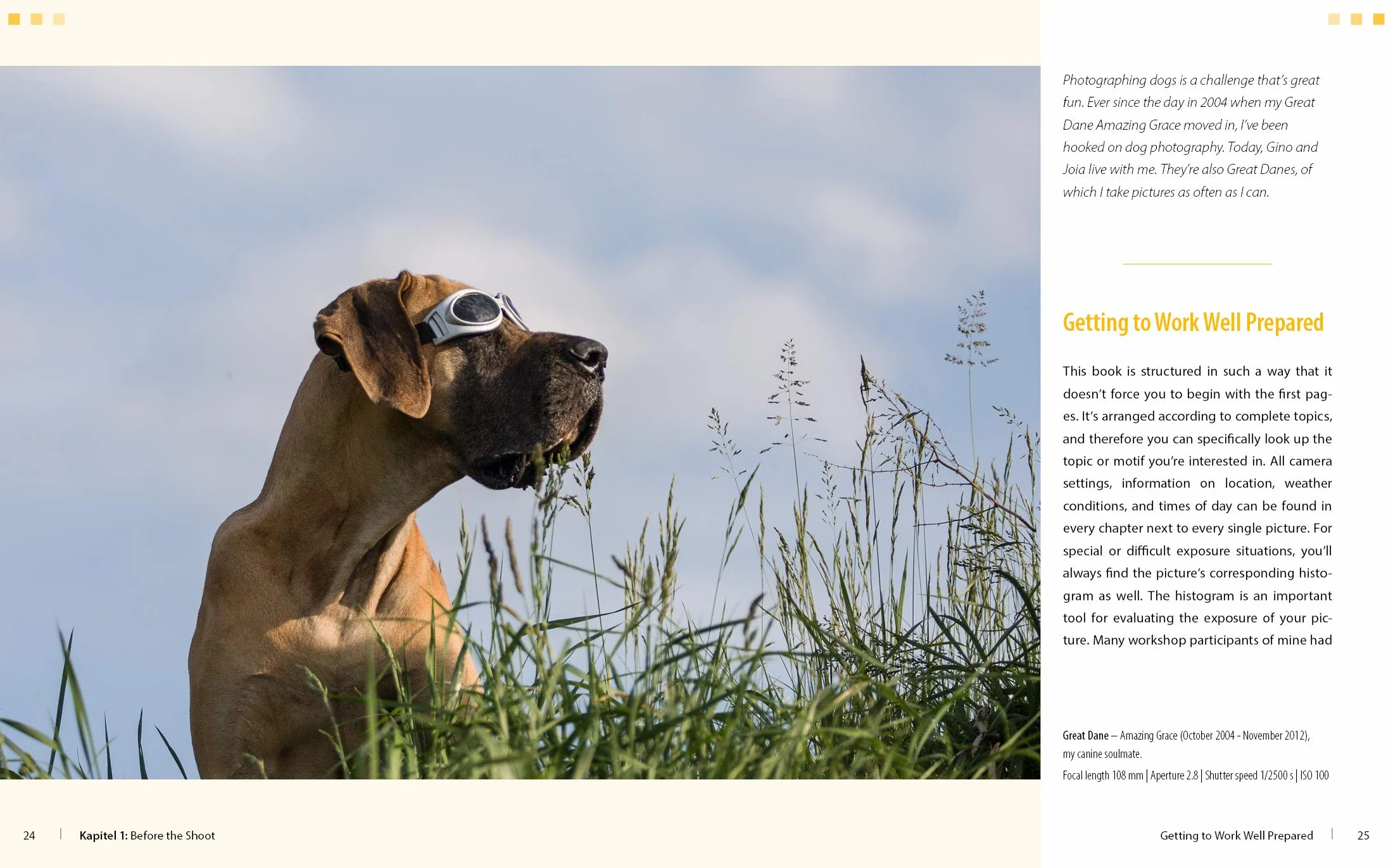 Dog Photography - Shooting with Bow "Wow" Effect