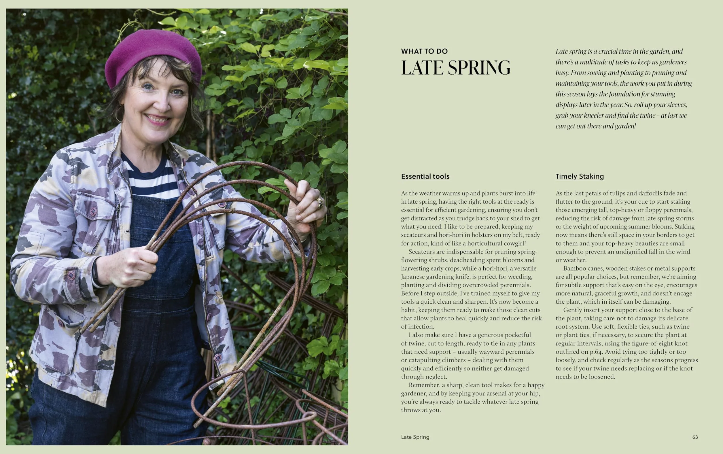 A Year of Colour: How to create a bold and bright garden