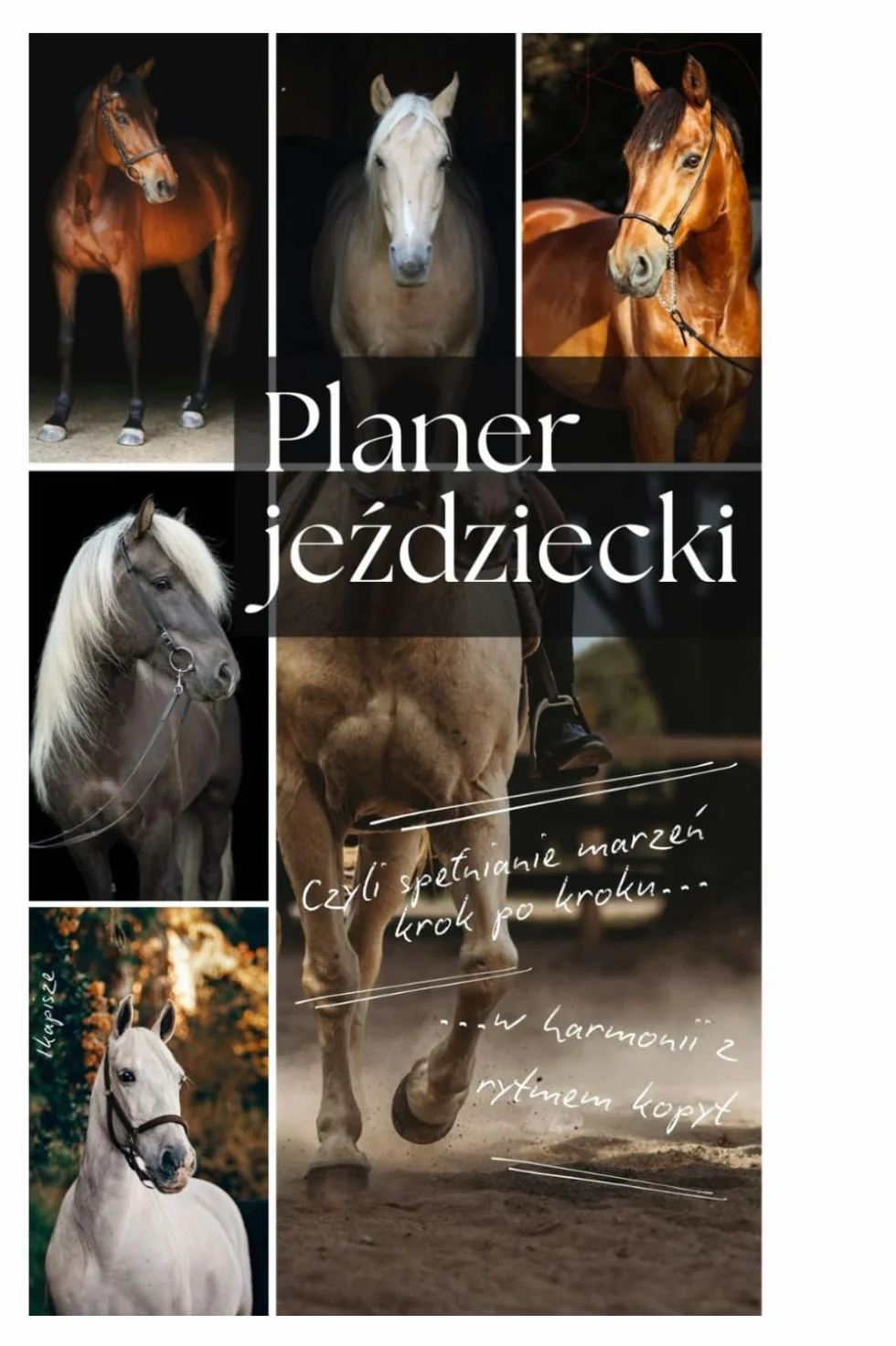 Planer jeździecki, czyli spełnianie marzeń krok po kroku w harmonii z rytmem kopyt: Organizer dla miłośników koni | Planer dla jeźdźca | Planer dla koniarzy | Organizer koniary