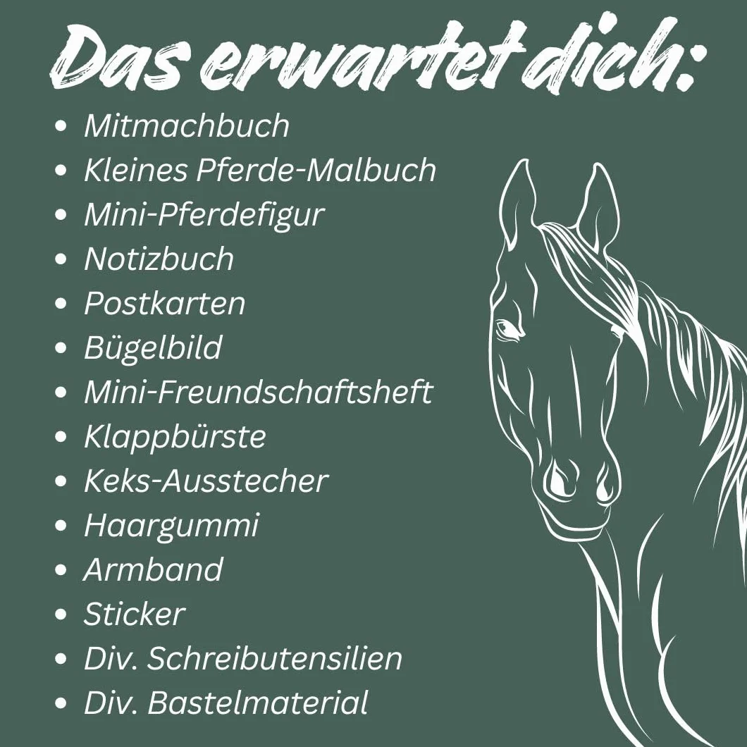 Pferdeglück - Der kreative Adventskalender. 24 Überraschungen für Pferde-Fans: Große Box (38,5 x 26,5 x 5 cm) mit 24 kleinen Boxen